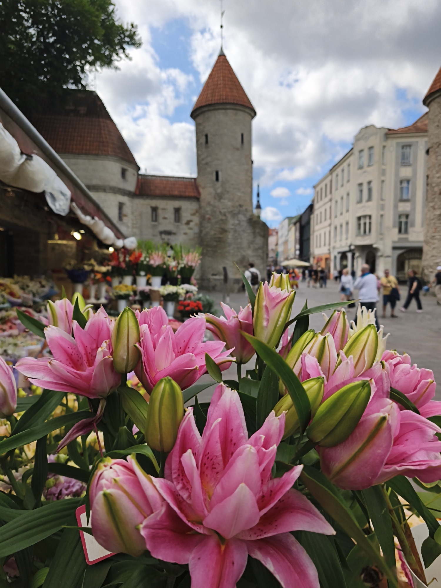 The image captures a street scene in Tallinn, Estonia, with a foreground of vibrant pink lilies. In the middle ground, a flower stall is visible, showcasing a variety of blooms. The background features ancient architecture, including a prominent medieval tower with a red conical roof, typical of Tallinn's Old Town. People are seen walking along the cobblestone street, some browsing the flower stall and others moving through the cityscape. The sky above is partly cloudy, with a mix of blue sky and white clouds. The overall impression is a lively market atmosphere set against a historic urban backdrop.