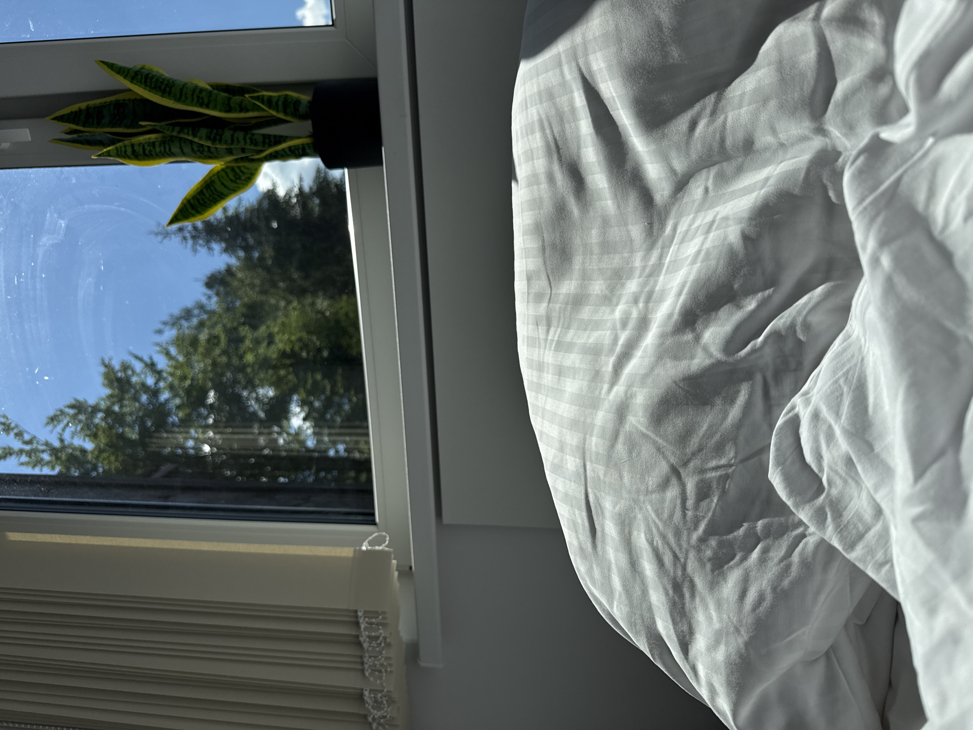 The image depicts a close-up view of a neatly made white bed with striped bedding, bathed in sunlight. Beyond the bed, a window reveals a bright blue sky with scattered clouds and the lush green foliage of trees outside. On the windowsill, a snake plant in a black pot adds a touch of greenery. To the left of the window, vertical blinds are partially drawn. The overall impression is one of a clean and serene indoor space with a view of nature. The location of Szklarska Poręba, Poland, suggests a potential setting in the Karkonosze Mountains, known for their natural beauty and forests.