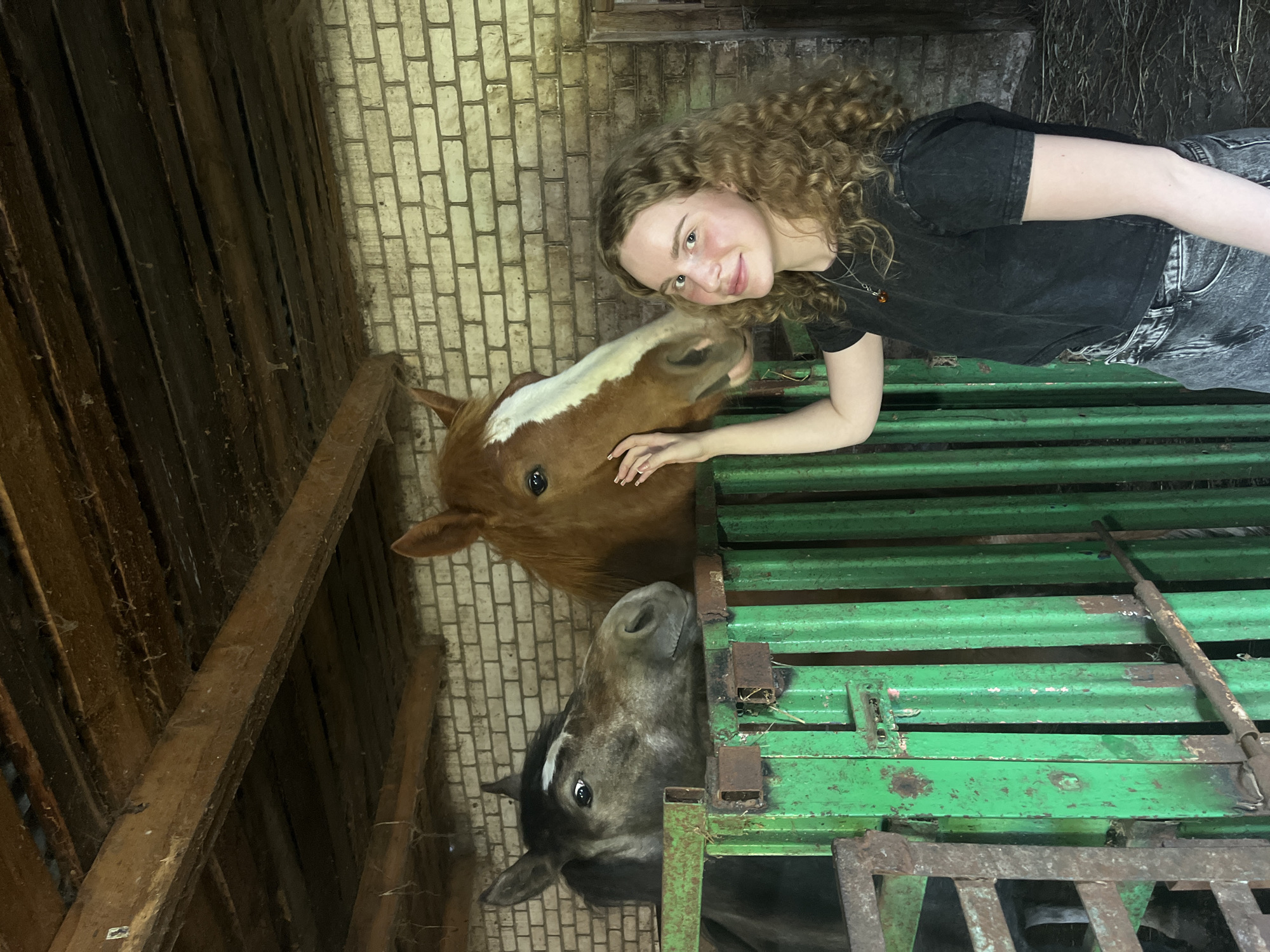 The image depicts a young woman with curly hair standing in a stable or barn in Krasnaya Gorka, Russia. She is leaning over a green metal partition, interacting with two horses. One horse is brown with a white blaze, and the other is gray with a white stripe. The stable has a brick wall on one side and wooden planks on another. The lighting suggests an indoor environment.
