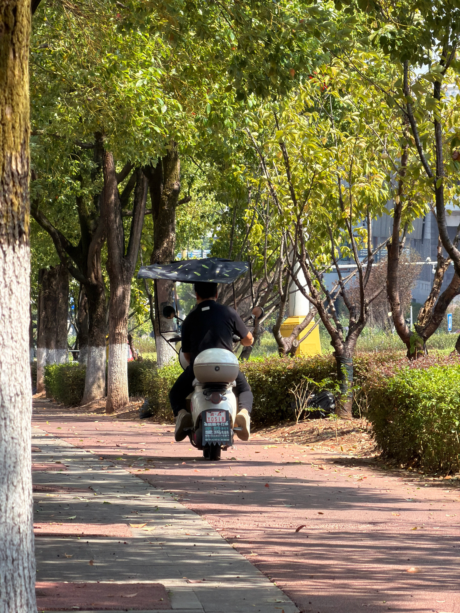 A person rides a scooter down a paved path lined with trees and bushes in Jiangjin, China. The scooter has a black canopy over the rider, and the rider is wearing a black shirt. The scooter has a white storage box on the back and a license plate that reads "Y0518". The path is made of red asphalt with gray pavers at the edges. Leaves are scattered on the ground. The trees are green and lush, with some sunlight filtering through the leaves. In the background, there are buildings and streetlights. The overall scene appears to be a park or a residential area.