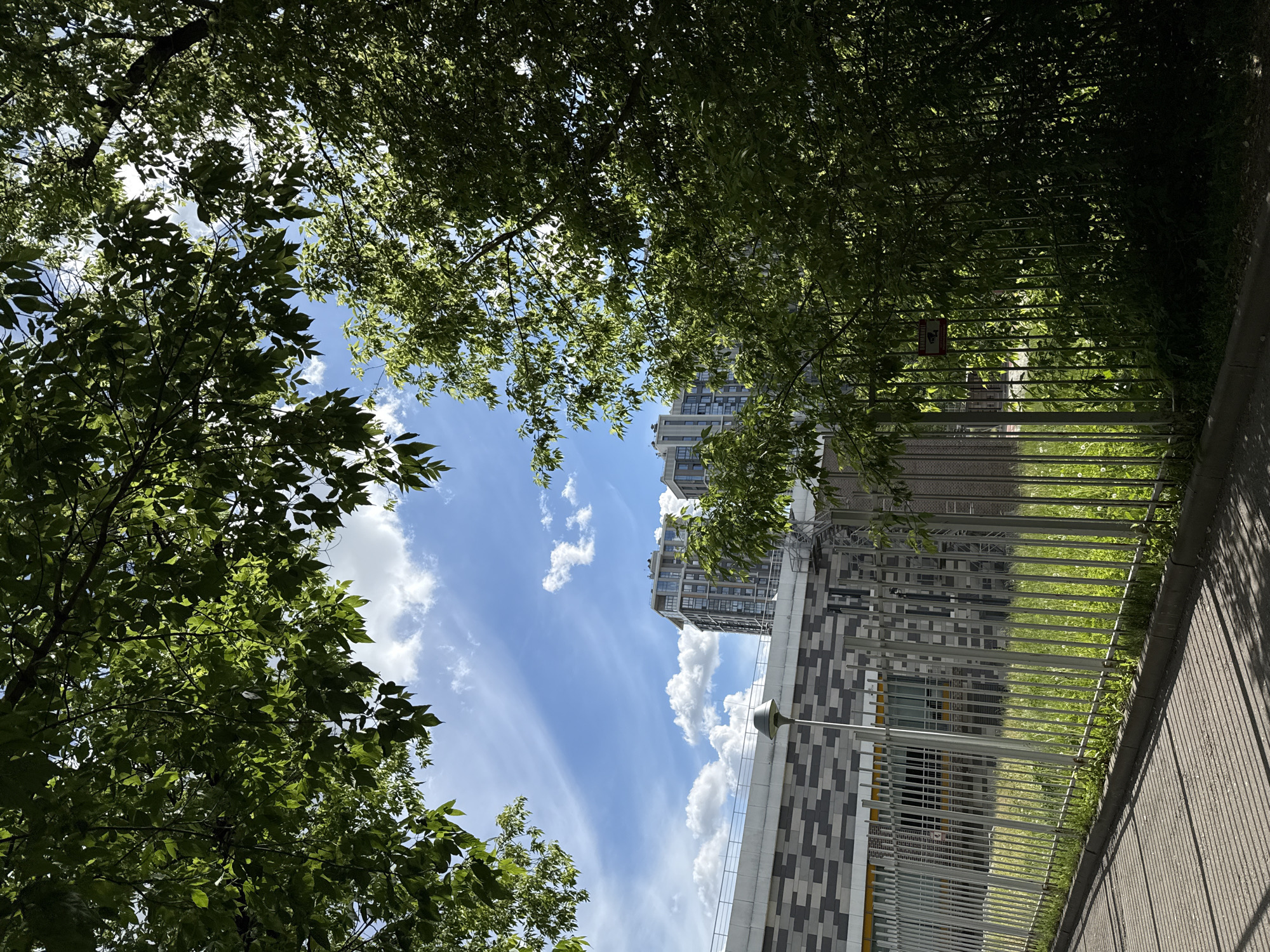 The image depicts a view upwards through tree foliage towards a partly cloudy blue sky. A building and a fence are partially visible on the right side. The building has a patterned facade. The location is Moscow, Russia.