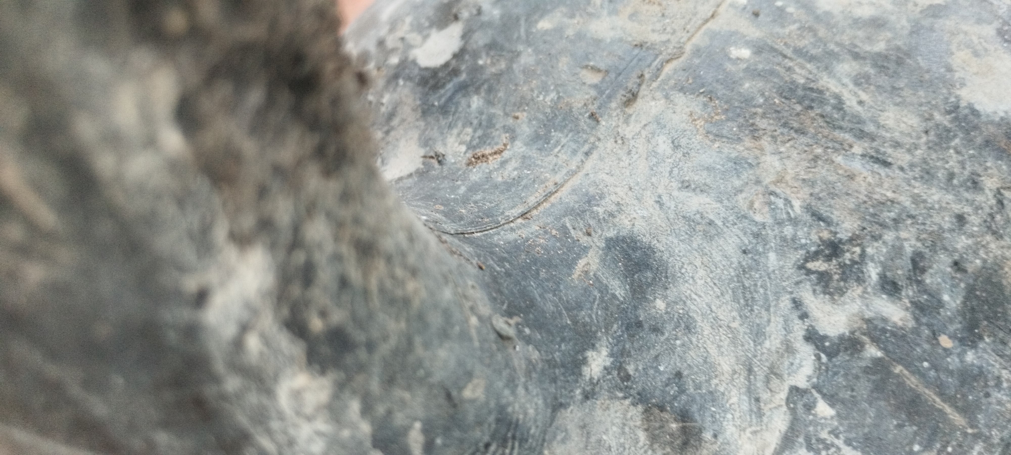 The image is a close-up, macro shot of a worn, dirty, dark grey surface with visible texture and some lighter colored debris. The texture appears to be that of rubber, possibly from a tire or similar material, with grooves and indentations. There is a curved line running across the surface, suggesting a seam or tread pattern. The lighting is soft and diffused, casting no harsh shadows. The background is out of focus and appears to be a continuation of the same material. No specific location within Yaroslavskaya, Russia, can be determined from the image alone.