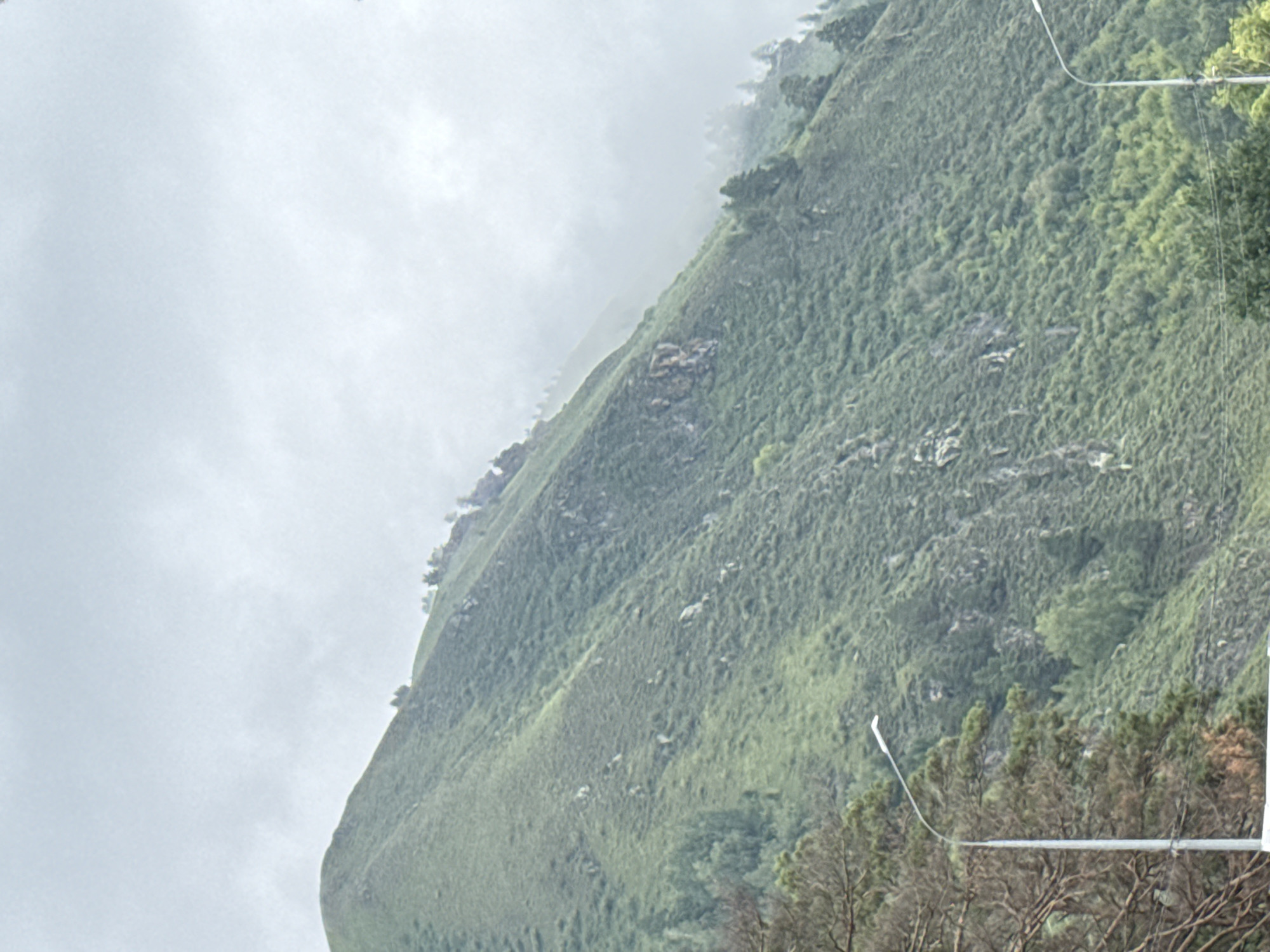 The image shows a green, heavily vegetated mountain slope under a cloudy sky. The mountain is steep and appears to be covered in grass and scattered trees. There are rocky outcrops visible on the slope. In the foreground, to the left, is a tall, grey lamppost with a curved arm and a light fixture. To the right, partially obscured by trees, is another lamppost. The overall impression is of a natural, mountainous landscape, likely located in or near Manzherok, Russia, given the context. The scene is devoid of any human presence.