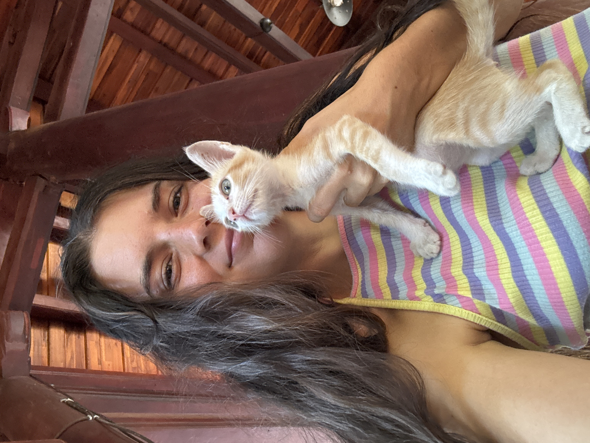 A woman with long, dark hair and a striped tank top is holding a small, orange and white tabby kitten. The woman is smiling and looking slightly to her right. The kitten is looking up and to its right, with its mouth slightly open. The background shows a wooden ceiling with exposed beams, suggesting an outdoor or semi-outdoor setting. The wooden structure and the warm lighting indicate a tropical environment, consistent with Mũi Né, Vietnam. The scene appears to be a casual, personal moment captured in a relaxed setting.