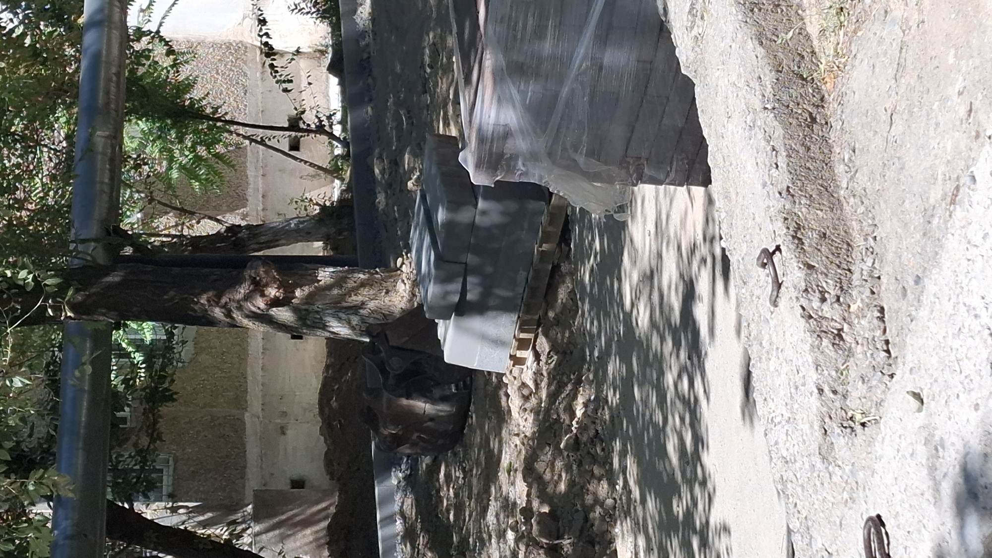 The image depicts a construction site in Shymkent, Kazakhstan. In the foreground, a snake is visible on a rough, light-colored surface. The middle ground shows a construction area with piles of dirt and rocks, construction materials including stacked paving stones on a pallet, and a large metal excavator bucket. Trees with foliage are present throughout the scene, casting shadows. In the background, a building with a textured facade and a visible window is present, with a large pipe running horizontally across the frame above the building. The overall environment appears to be outdoors in an urban setting undergoing renovation or construction.