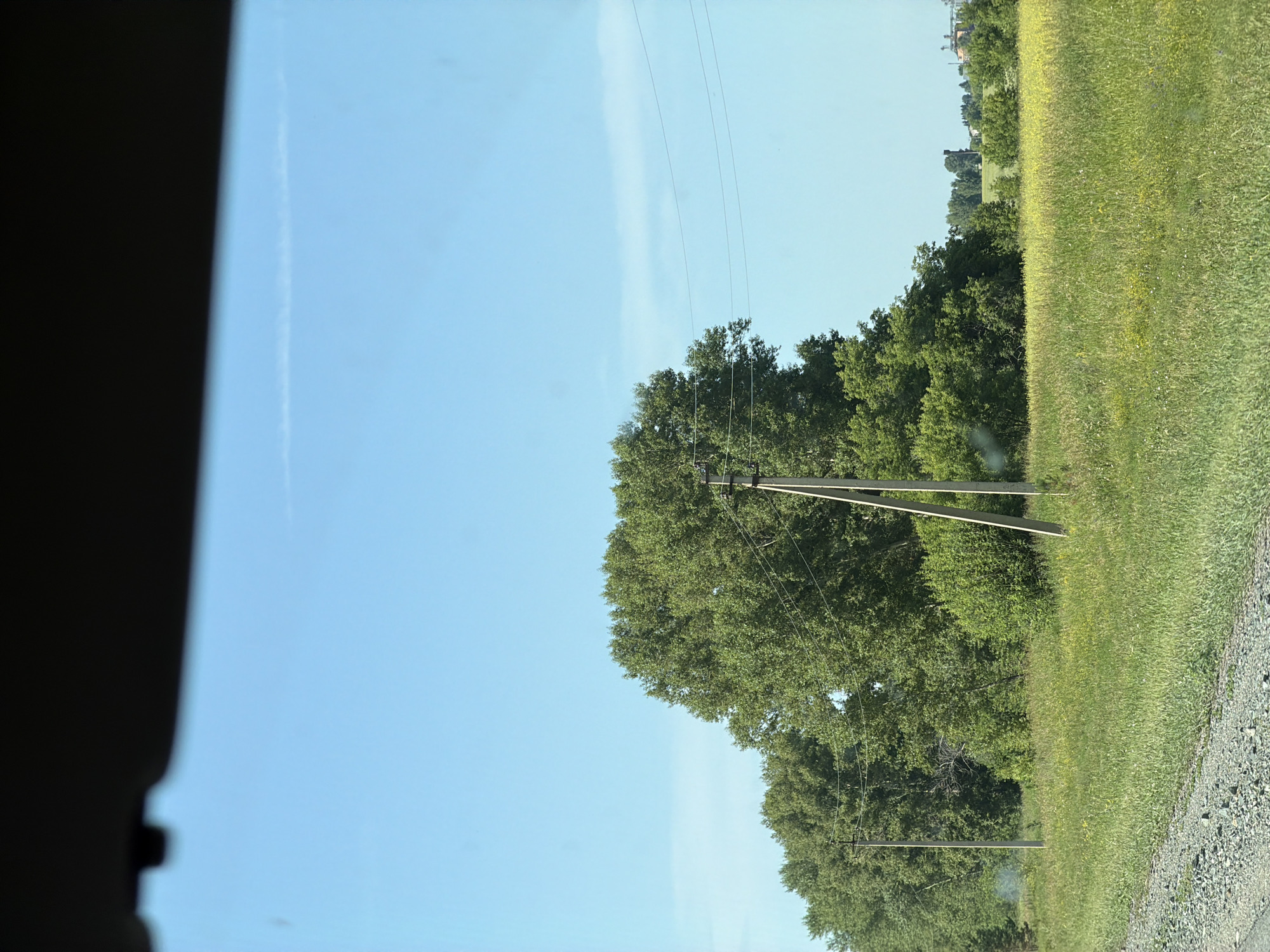 The image depicts a rural landscape under a clear blue sky. In the foreground, a gravel road runs along the left side of the frame. Beyond the road, a field of green grass with scattered yellow wildflowers stretches into the midground. A line of tall, lush green trees dominates the middle of the image, with a single, thick tree standing out in the center. Two light poles with overhead wires are visible within the tree line and in the grassy field. In the distance, a few buildings with industrial structures and what appear to be silos are silhouetted against the horizon. The scene is characteristic of the countryside near Bezmenovo, Russia, likely during a summer day. There are no people visible in the image.