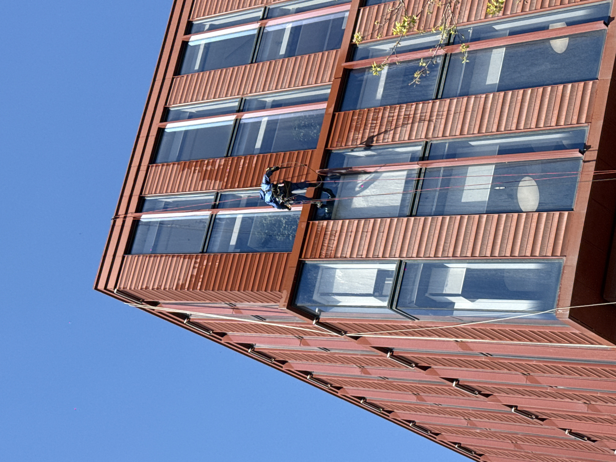 A low-angle shot features a high-rise building with a window washer in action. The building has a rust-colored facade with horizontal window sections, each protected by a series of narrow, rust-colored vertical slats that act as shading. A window washer is suspended on ropes in front of one of the windows. The window washer is wearing a blue suit and safety gear, positioned in the middle of the frame against the building's facade. The sky, a clear, bright blue, dominates the left side and upper portion of the image. There are branches with green buds or leaves. The building’s architecture includes dark window frames contrasting with the rust-colored exterior. The location is a city of Khimki in Russia.