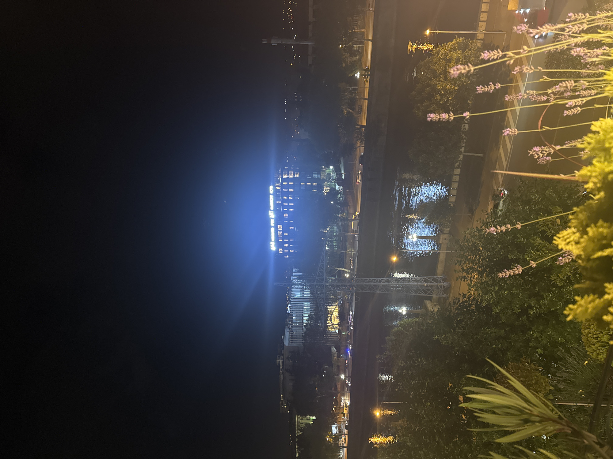 A nighttime aerial view captures the city of Tbilisi, Georgia, with a brightly lit building dominating the background. The building, identified as the "Riverside Hotel," features a prominent sign and is illuminated with a strong blue light that creates a halo effect in the dark sky. In the middle ground, a wide river reflects the lights of the city, including streetlights and lights from buildings along its banks. A busy road runs parallel to the river, with several cars visible, including one with flashing blue lights, suggesting a police presence. Trees and greenery line the riverbank and the road, some of which are illuminated by streetlights. In the foreground, several plants are visible, including lavender with purple flowers and a spiky green plant, partially obscuring the view of the city and river. A large metal electricity pylon stands on the riverbank, its structure illuminated by the surrounding lights. The sky is dark, with the exception of the bright illumination from the hotel and scattered city lights in the distance.