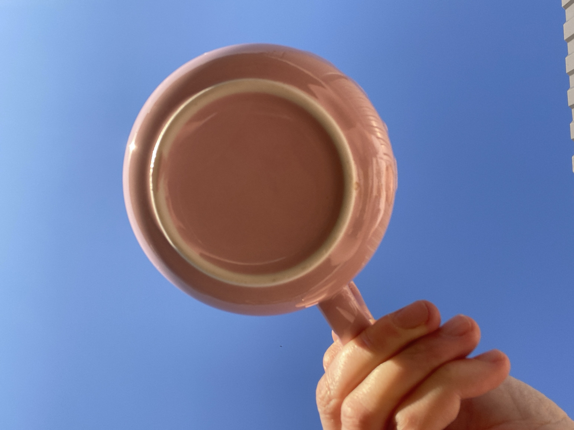 A hand holds a pink mug against a bright blue sky. The bottom of the mug faces the camera. The location cannot be determined from the provided image.