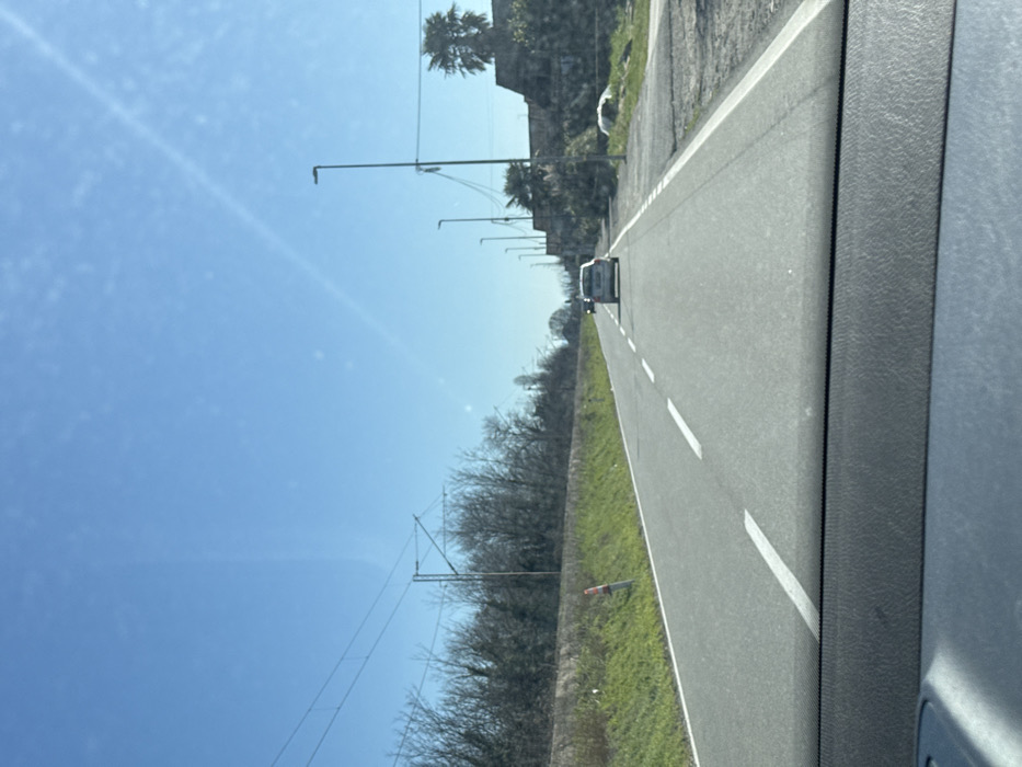 The image presents a forward-facing view from inside a vehicle on a multi-lane asphalt road in Bistrice, Montenegro, under a clear, bright blue sky. Two light-colored vehicles are visible ahead, traveling in the same direction, with a silver station wagon or SUV leading. The road features solid white lines on the outer edges and dashed white lines separating the travel lanes.
To the left of the road, a green grass verge slopes upwards, punctuated by several small orange and white delineator posts. Beyond the verge, a dense line of bare deciduous trees forms a visual barrier, above which utility poles with overhead lines, consistent with a railway catenary system, are visible.
To the right of the road, a paved shoulder or sidewalk runs parallel, giving way to an unkempt area with some debris and scrub vegetation. A series of tall, dark grey streetlights with rectangular luminaires extends along this side. Behind the streetlights, partially obscured structures, appearing as old walls or rudimentary buildings, are present, alongside a prominent palm tree. The sky is uniformly clear, with a faint diagonal streak in the upper right quadrant, consistent with a distant aircraft contrail or lens flare. No individuals are visible.