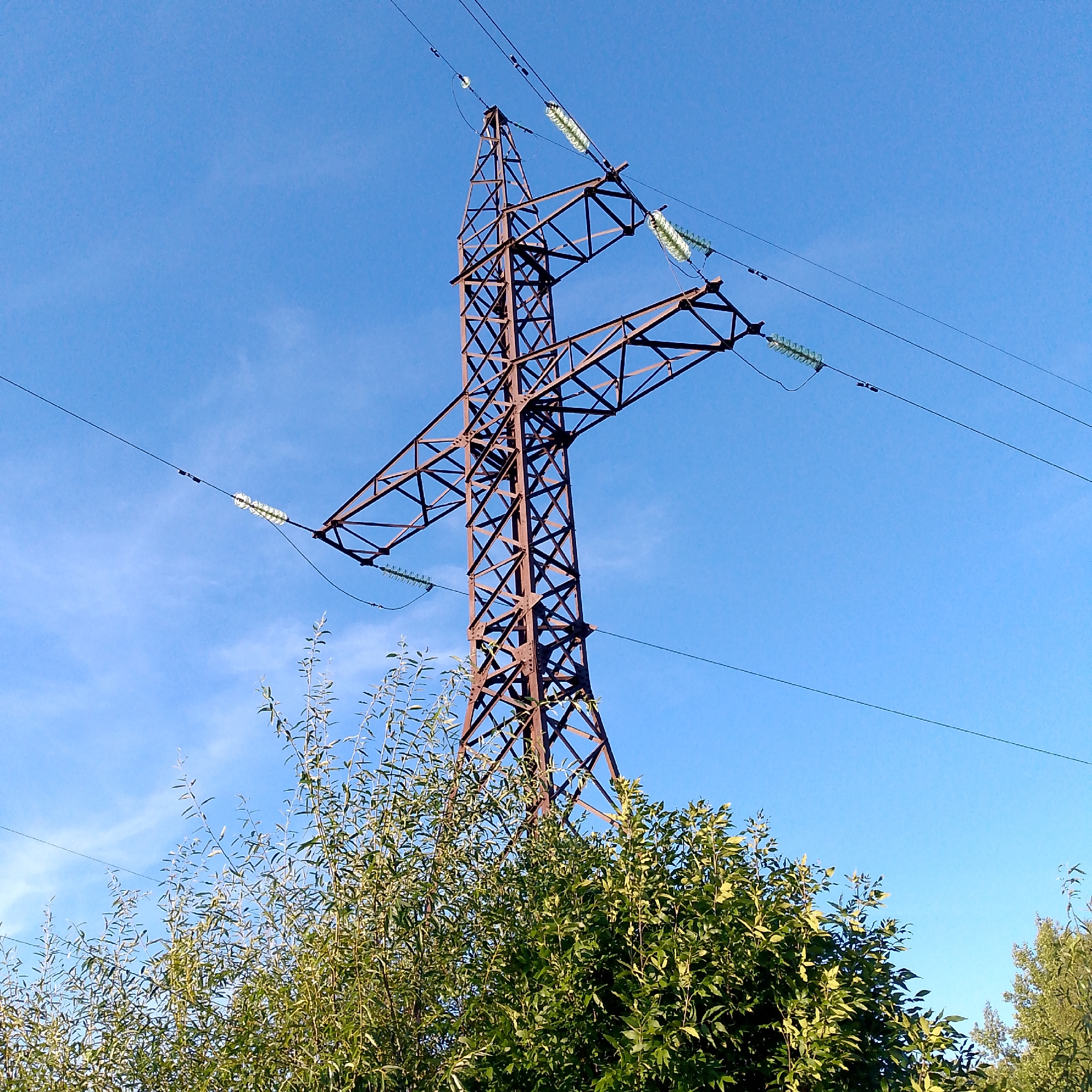 This is an eye-level, outdoor, medium shot photograph of a large, brown, metal lattice power line tower against a clear blue sky. The tower has a prominent cross-arm structure at the top, supporting multiple electrical wires that extend out of frame. Transparent, green, disc-shaped insulators are visible attached to the cross-arm, holding the wires. The lower portion of the tower is partially obscured by lush green foliage from trees and bushes in the foreground. The scene is set in Nikologory, Russia.