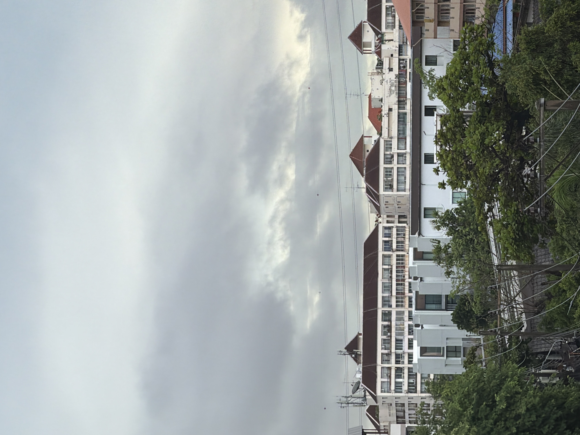 The image displays an elevated view of an urban landscape in Bangkok, Thailand, under a uniformly overcast, grey sky that diffuses light across the scene. The upper two-fifths of the frame consist entirely of this cloud cover, showing subtle variations in tone.
The midground is populated by a variety of multi-story buildings. Several older structures feature distinct reddish-brown tiled roofs and white facades with numerous windows and balconies. Interspersed among these are modern, white, rectilinear buildings characterized by prominent dark-framed windows. Rooftops are equipped with satellite dishes and various antennas. A complex network of overhead power lines, supported by utility poles, stretches horizontally across the midground, particularly dense in the lower half of the image.
The foreground is occupied by a dense canopy of lush, dark green tropical foliage, which partially obscures the lower sections of buildings and the ground level. Beneath this greenery and the utility lines, additional building elements, including a structure with a blue tarp roof, are faintly visible. Small, dark, and occasionally reddish, amorphous specks are visible against the sky, suggesting distant airborne objects. No human figures are present, nor is any specific activity discernible. The scene depicts a densely built urban environment with mixed architectural styles, extensive utility infrastructure, and significant tree cover.