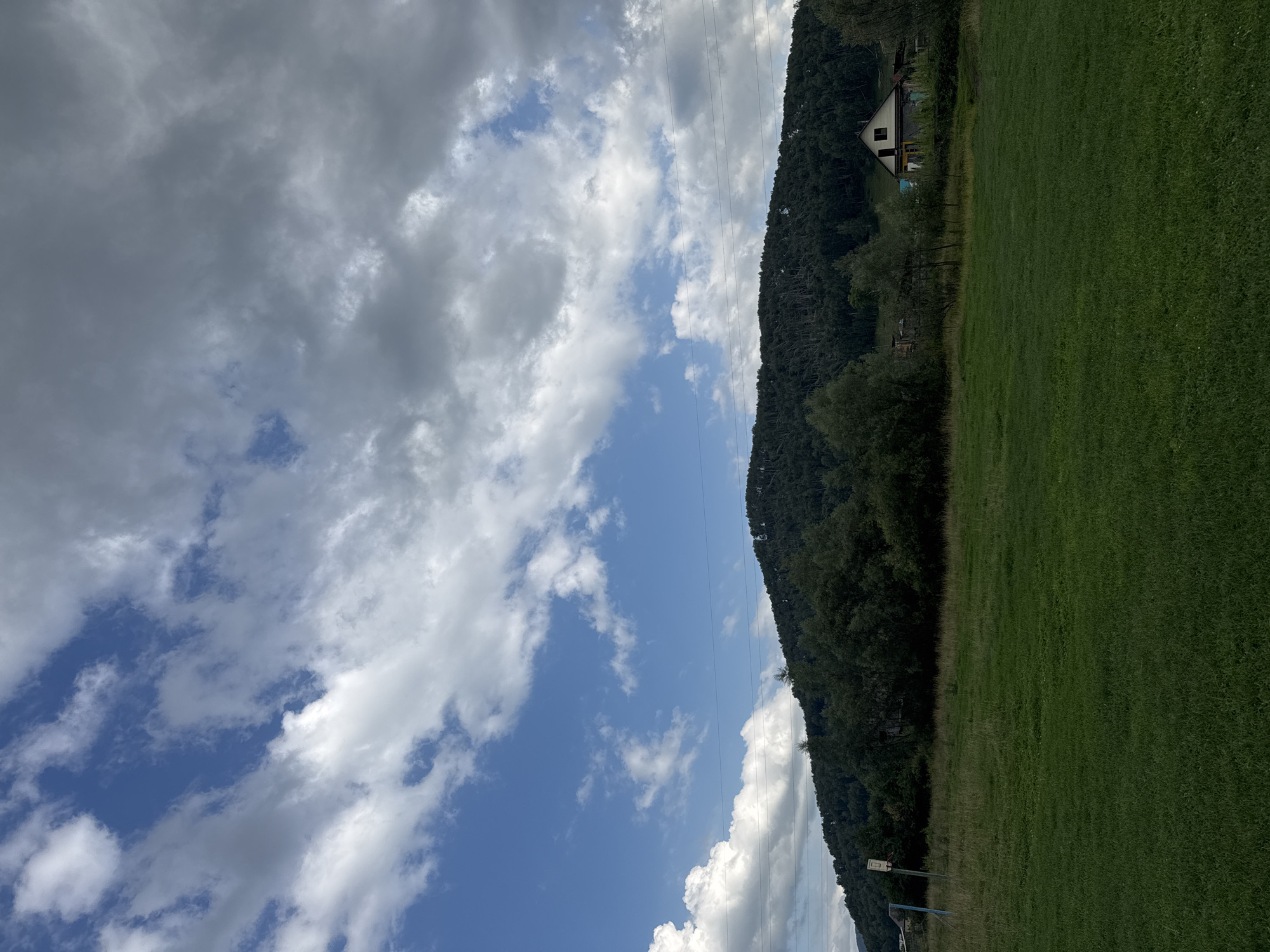The image depicts a rural landscape with a grassy field in the foreground. In the middle ground, a tree-covered hillside dominates the scene, with a small house visible on the right side. The sky above is partly cloudy, with a mix of blue sky and gray clouds. The location is identified as Soloneshnoye, Russia. There are no people or animals visible in the image, and no actions or interactions are taking place. The environment appears to be natural and undeveloped, with a hint of human habitation through the presence of the house and utility lines.