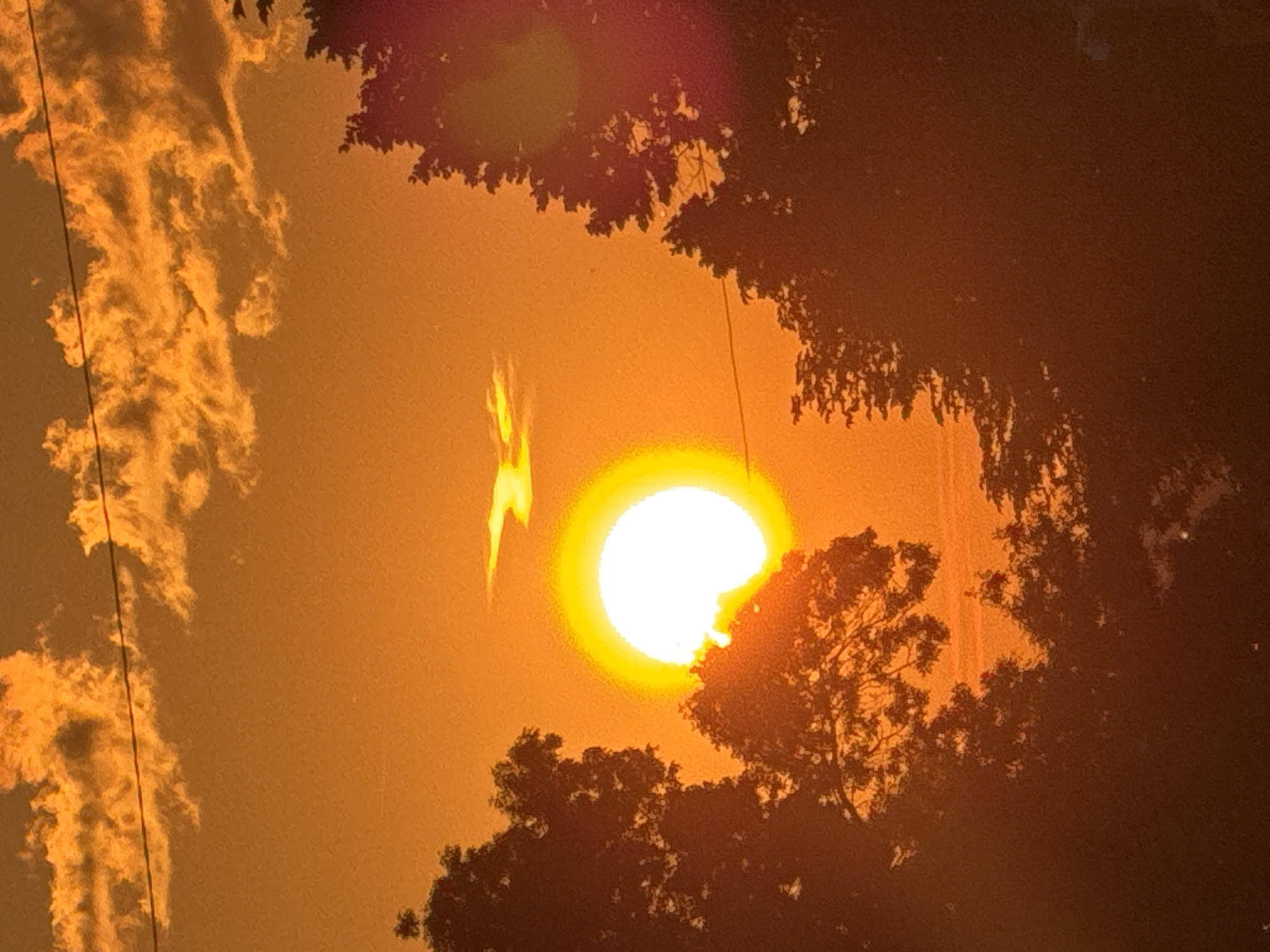 The image captures a sunrise or sunset over the city of Sofia, Bulgaria. The sky is saturated with intense orange and yellow tones. A prominent, brilliant white sun, radiating a strong glow, is positioned centrally, partially obscured by dark tree silhouettes on the left. The upper portion of the sky features scattered, bright orange clouds, and a distinct, small cloud formation is visible above and to the right of the sun. A thin, dark utility line stretches horizontally across the upper-middle section of the sky, passing through the clouds. Dense, dark tree foliage forms prominent silhouettes along the left and right sides of the frame, extending into the lower foreground. A subtle reddish lens flare is present on the extreme right edge of the image, overlapping with the tree silhouette. There are no human subjects or explicit actions depicted.