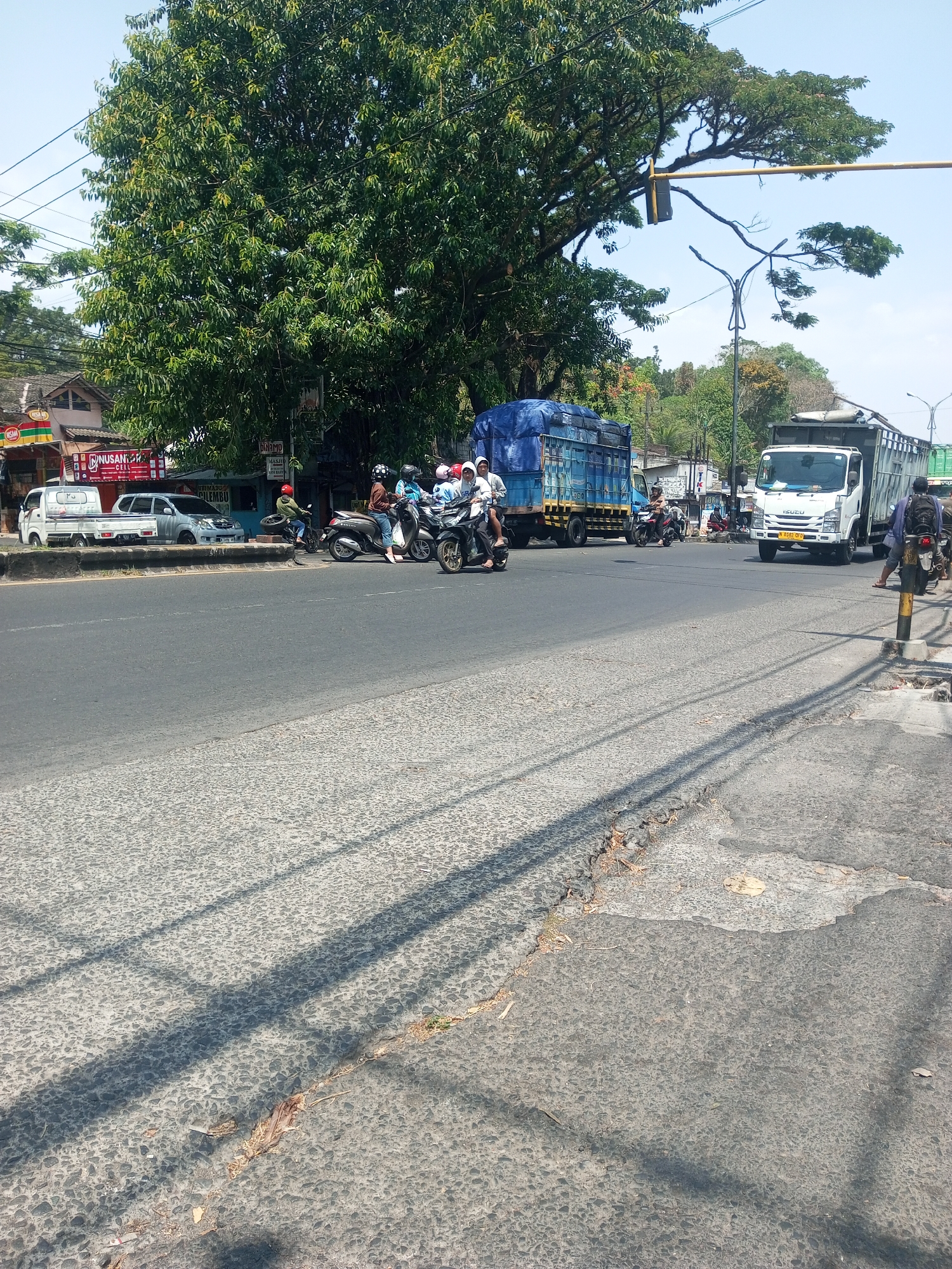 The image depicts a busy intersection in Singosari, Indonesia, on a bright, clear day. A large, leafy tree dominates the left side of the frame, casting long shadows across the asphalt road. Several vehicles are present, including a white Isuzu truck on the right, a blue truck with a tarp covering its load in the center, and two smaller white vehicles parked on the left side of the road, adjacent to a row of buildings. Numerous motorcycles are also visible, with several people riding on them, some wearing helmets. One person is walking on the right side of the road near the Isuzu truck. The road surface is a mixture of asphalt and textured concrete. Buildings line the street on the left, with signage suggesting commercial establishments. Power lines and a traffic signal are also present. The overall scene captures the dynamic activity of a typical urban intersection in Indonesia.