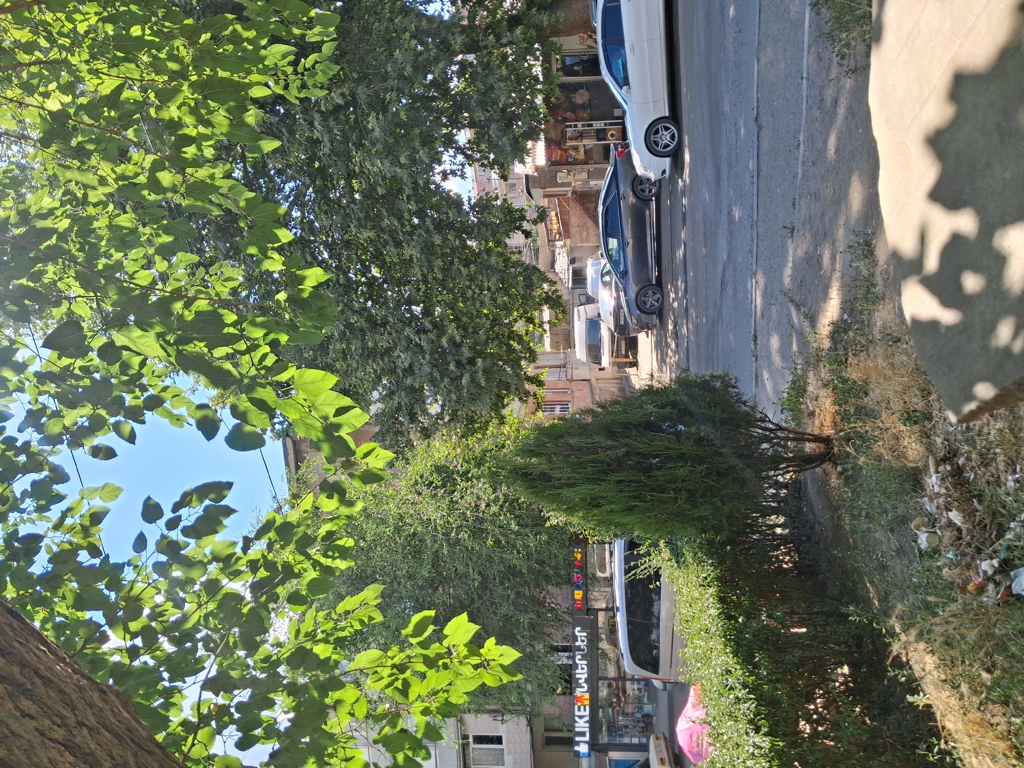 This is an outdoor medium shot taken in Yeghegnadzor, Armenia. The scene is a street with parked cars and buildings. A large tree with vibrant green leaves dominates the foreground, casting dappled shadows on the ground. Several cars are parked along the side of the street, including a white sedan and a dark sedan. In the background, buildings are visible, with some showing signs of age. A bright pink umbrella is partially visible near the bottom right of the frame. The lighting suggests it is daytime, likely late afternoon, as indicated by the long shadows. The weather appears to be clear and sunny, with the sky visible through the tree canopy. The overall impression is one of a typical street scene in a town or city. Text is visible on a sign that reads "LIKE" and another in Armenian script.