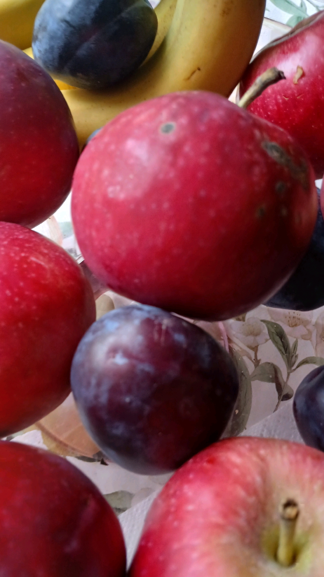 The image displays a close-up, overhead view of a collection of fruits, primarily apples and plums, arranged on a surface. The fruits are diverse in color, ranging from deep reds and purples to yellow. Some of the fruits appear ripe and have a glossy sheen, while others show slight imperfections like small brown spots. The background is out of focus but suggests a patterned tablecloth with floral motifs in muted tones. There is no indication of a specific location within the city of Visaginas, Lithuania, as the image is devoid of any recognizable landmarks, signage, or environmental cues that would identify its geographical origin. The focus is solely on the arrangement and texture of the fruits.