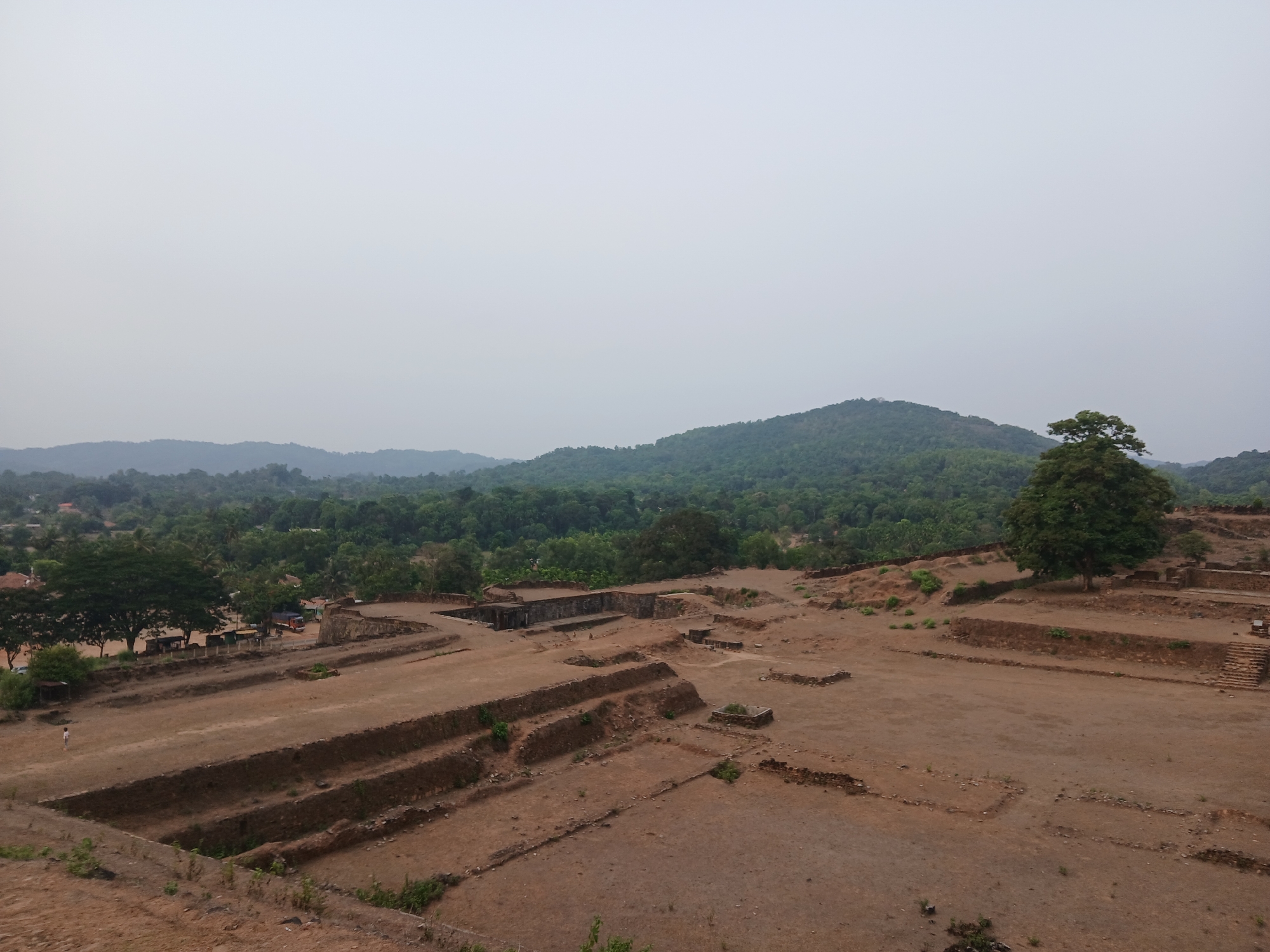 The image shows the ruins of Nagara Fort in Nagara, India. The foreground features a large, open, reddish-brown earthen area marked with rectangular and linear depressions, likely indicating former building foundations or terraced levels. Some sections retain low stone walls. In the background, a dense forest stretches towards rolling hills under a hazy, overcast sky. A large green tree stands prominently on the right side of the image amidst the ruins. In the left midground, trees and structures suggest a village setting. A single, small figure can be seen standing in the lower-left portion of the ruins.