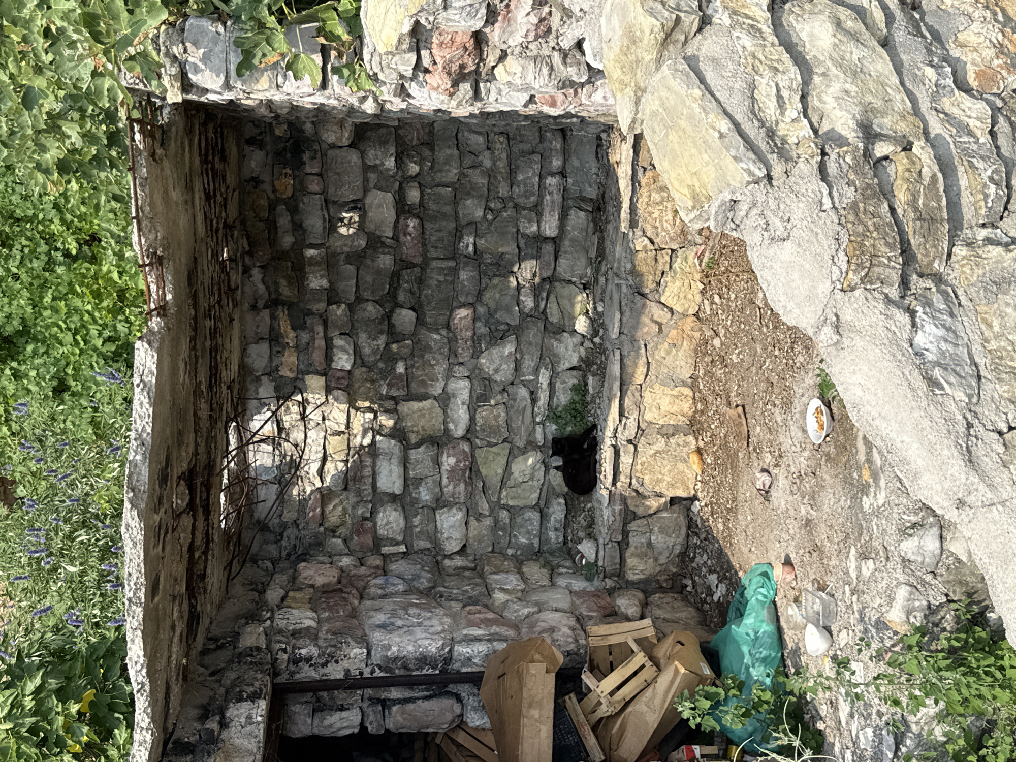 The media file shows the interior of an abandoned stone structure, possibly a shelter or an old well, in Boreti, Montenegro. The walls are constructed from rough, uneven stones of various sizes and colors, with visible cracks and signs of wear. Lush green foliage surrounds the exterior of the structure, with some branches and leaves encroaching into the opening.
Inside, the floor is littered with debris, including wooden crates, cardboard boxes, a green plastic bag, and some scattered food items in a white bowl. A black cat is visible in the upper right corner of the structure, nestled among some greenery. Reinforcing metal bars are exposed on the left side of the interior wall, indicating unfinished or decaying construction. The lighting suggests it is daytime, with strong sunlight casting shadows within the structure. The overall scene evokes a sense of abandonment and neglect, with nature reclaiming the man-made structure. There is no visible text in the image.