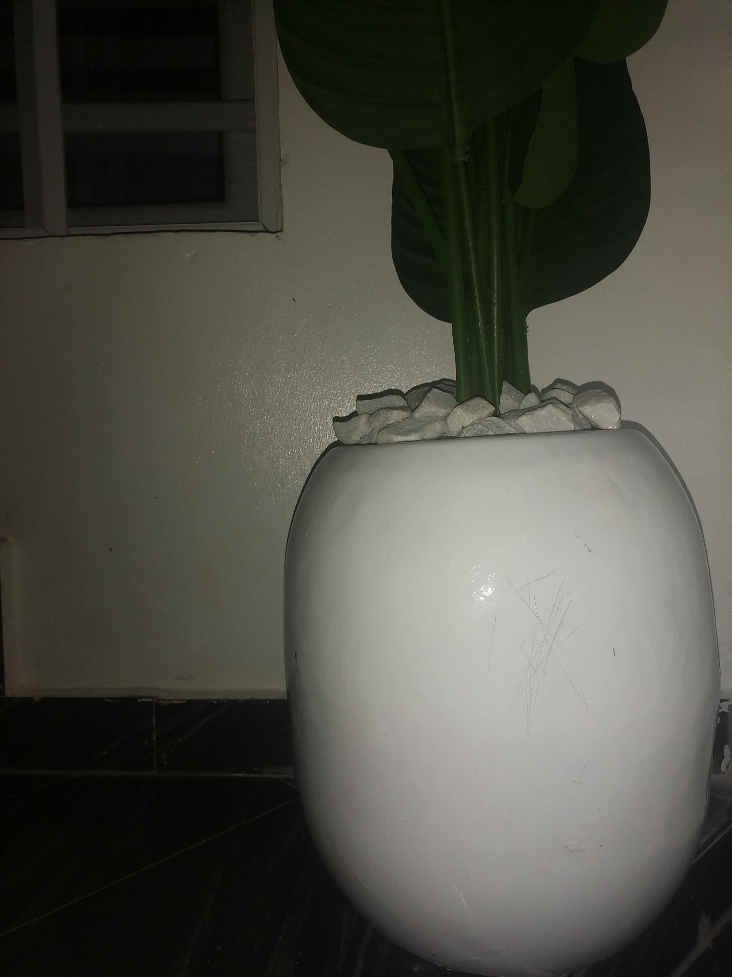 In Ikorodu, Nigeria, a large, white, spherical planter rests on a dark tiled floor against a light-colored wall. The planter contains a plant with several large, green leaves and thick, green stems. The top of the planter is filled with small, white stones. To the left of the planter, a portion of a window with a white frame and a dark interior is visible, set into the wall. The lighting suggests an indoor environment.