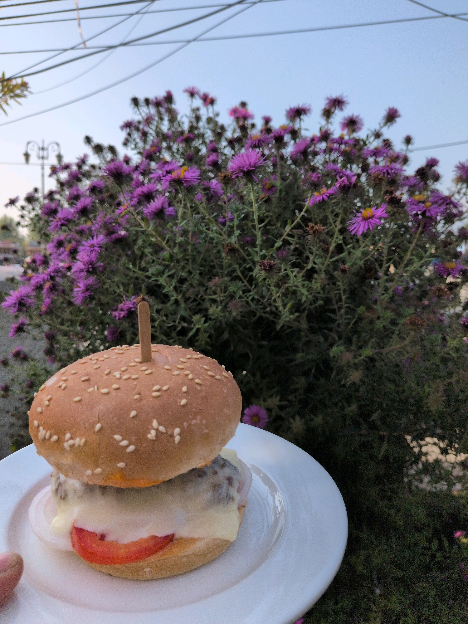 A close-up, vertical shot shows a hamburger on a white plate, set against a backdrop of purple flowers and a pale blue sky with thin wires overhead. The hamburger has a sesame seed bun, and the filling includes melted cheese, a slice of tomato, and rings of onion. A wooden skewer protrudes from the top bun. The scene appears to be outdoors, possibly in a garden or park in Srinagar, India. The purple flowers are abundant and in full bloom, suggesting a pleasant season. The lighting is soft, indicating it might be morning or late afternoon. The focus is primarily on the hamburger, with the background slightly blurred.