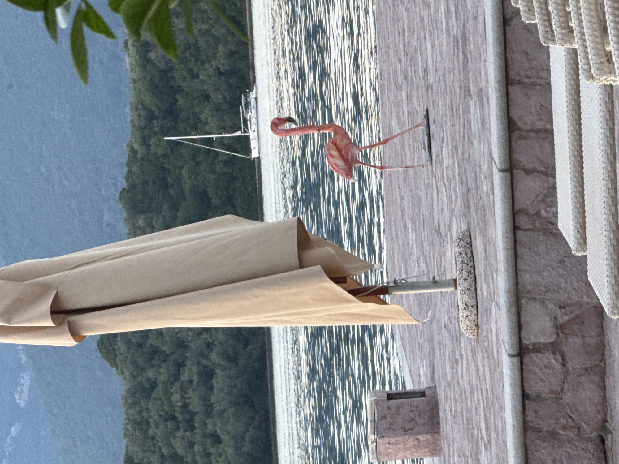 The image captures a scene at a waterfront location in Bogišići, Montenegro. The foreground features a closed, tan-colored umbrella. A pink flamingo decoration is prominently placed on the stone-paved ground next to the beach. In the background, there is a body of water with a boat sailing, forested mountains. The setting suggests a tranquil, possibly resort-style environment near the coast.