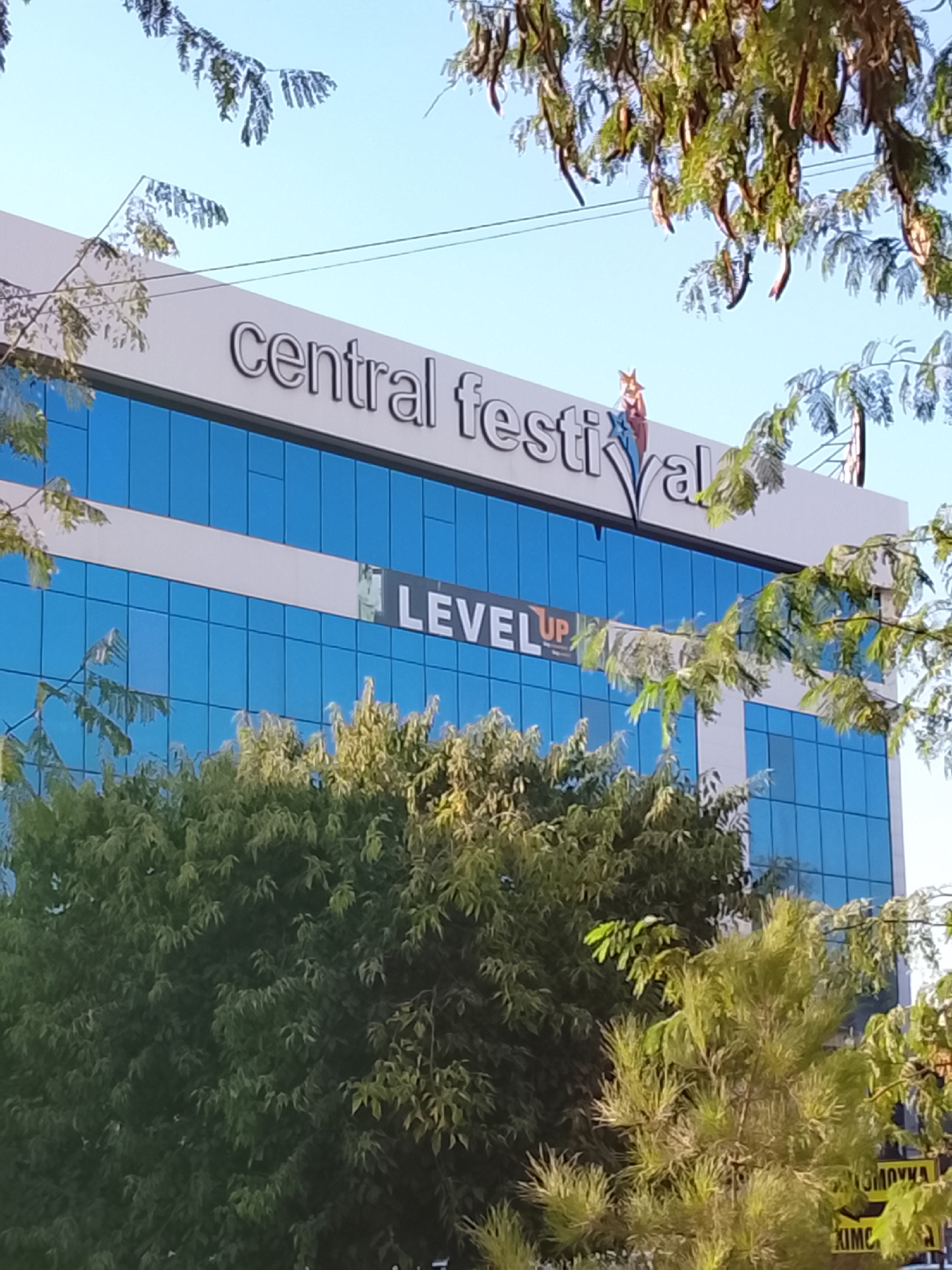 The image shows a modern building with the words "central festival" on its facade, above a row of blue tinted windows. Below the "central festival" signage and on the blue windows, the word "LEVEL UP" is visible. The building appears to be located in a city, with trees and branches from trees partially obscuring the view of the building, suggesting an outdoor setting in Fergana City, Uzbekistan. The sky is visible and appears to be clear. There are no people visible in the image.