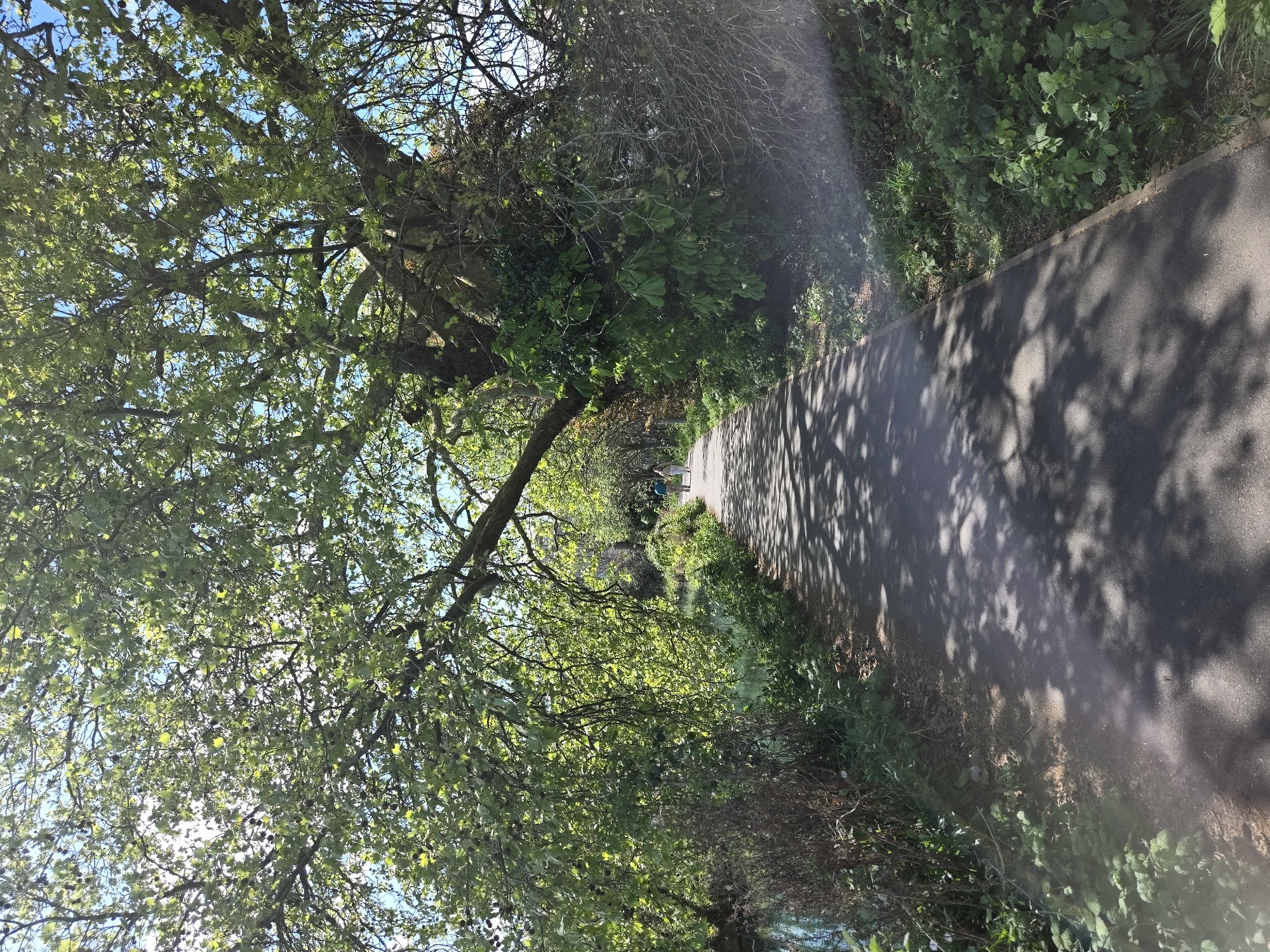 A paved path runs between trees and vegetation. The path is dappled with shadows from the trees. Two people are walking in the distance. The location is potentially in a park or green space in London, United Kingdom.
