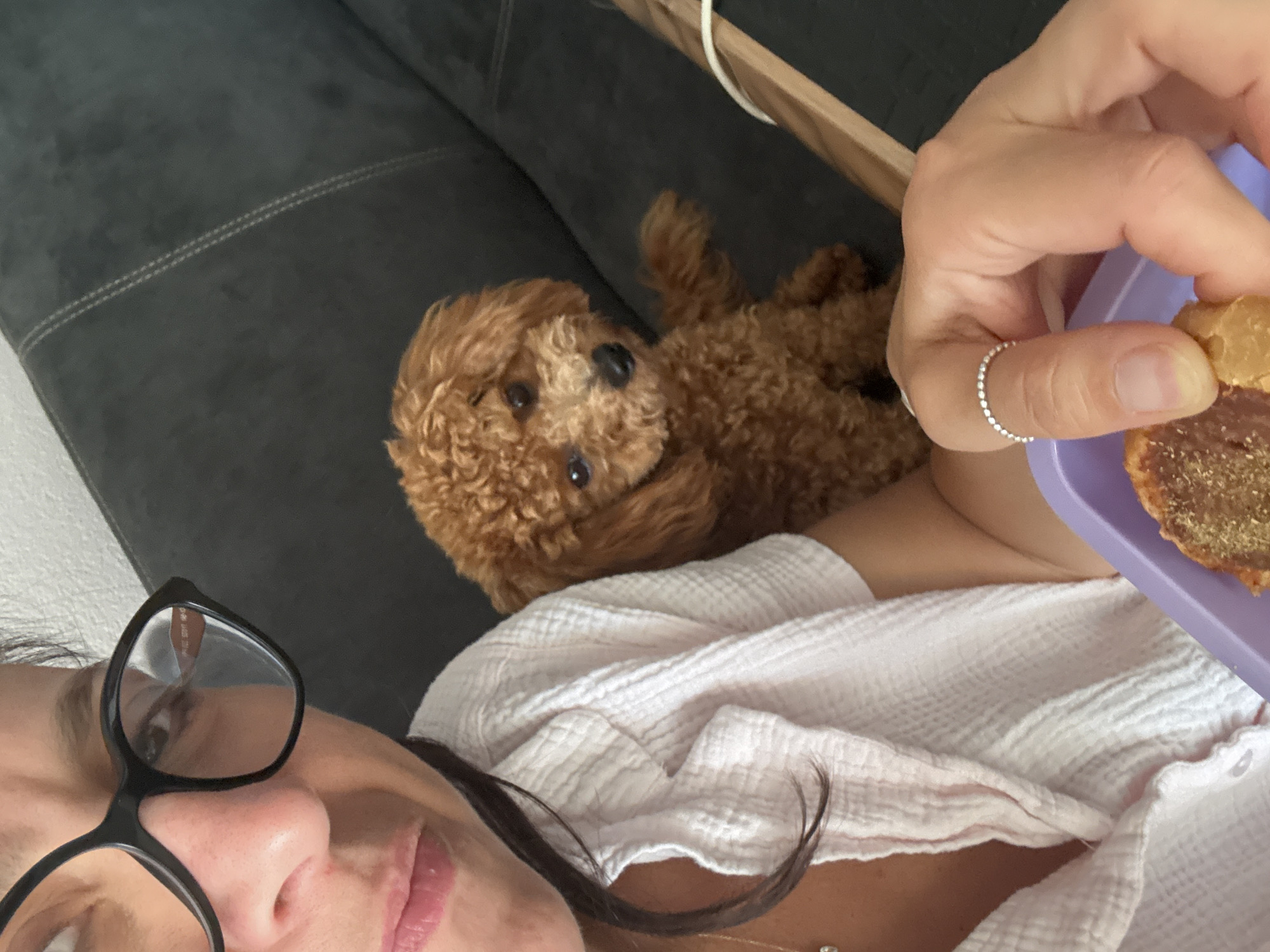 The image shows a close-up of a woman wearing black-rimmed glasses, a white textured shirt, and a silver ring on her left hand. She is holding a purple container with a piece of food. Beside her, a small, brown, curly-haired poodle is sitting on a dark-colored sofa. The background appears to be an indoor setting, likely a living room. There is no information to determine the location in Marum, Netherlands.