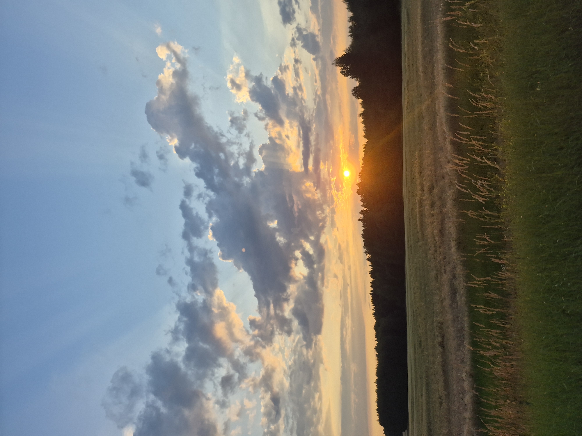 This image depicts a serene landscape scene at sunset in Ol'khovo, Russia. The sun is low on the horizon, casting a warm, golden-orange glow across the sky. Wispy clouds are scattered across the sky, illuminated by the setting sun, with some appearing tinged with pink and yellow. Rays of sunlight are visible, fanning out from the sun and piercing through the clouds.
To the right of the frame, a dense line of dark green trees forms a natural border, silhouetting against the bright sky. Beyond the trees, a field stretches out, with the foreground showing lush green grass and the middle ground appearing as a paler, drier field, possibly harvested or fallow. The transition from the dark trees to the lighter fields is stark. The image is oriented vertically, with the sky occupying the left side and the landscape the right.
The time of day is clearly sunset, indicated by the low position of the sun and the characteristic warm colors of the sky. The weather appears clear with scattered clouds, creating a dramatic and beautiful sky. The overall emotion conveyed is peaceful and tranquil, capturing the beauty of nature at the end of the day. There is no visible text in the image.