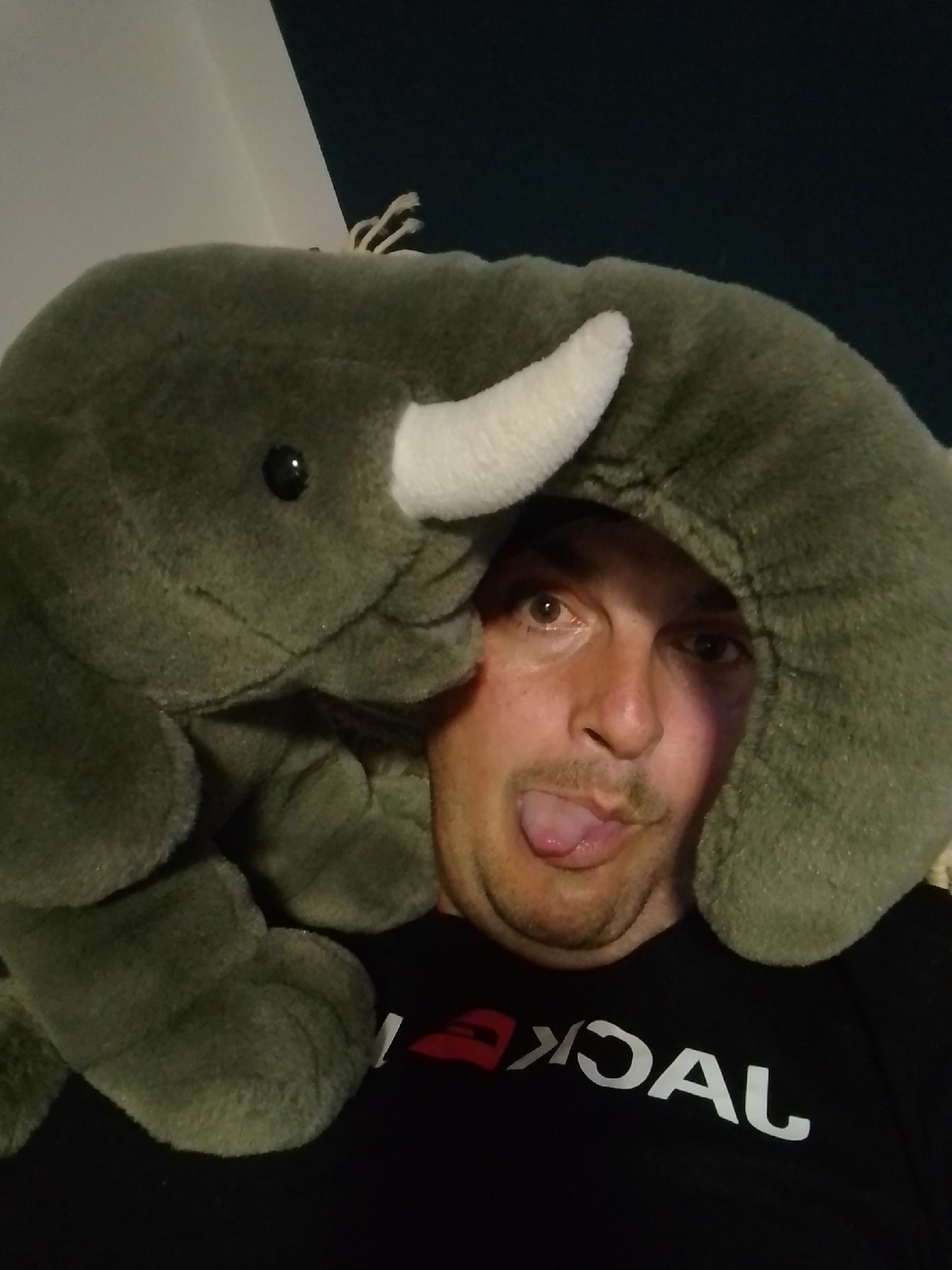 A man is wearing a stuffed elephant hat. The elephant hat is green and has a white tusk. The man's face is visible, and he is sticking out his tongue. He is wearing a black t-shirt with white lettering. The image appears to be taken indoors, as there is a wall behind the man. The location in Wedel, Germany is unknown.
