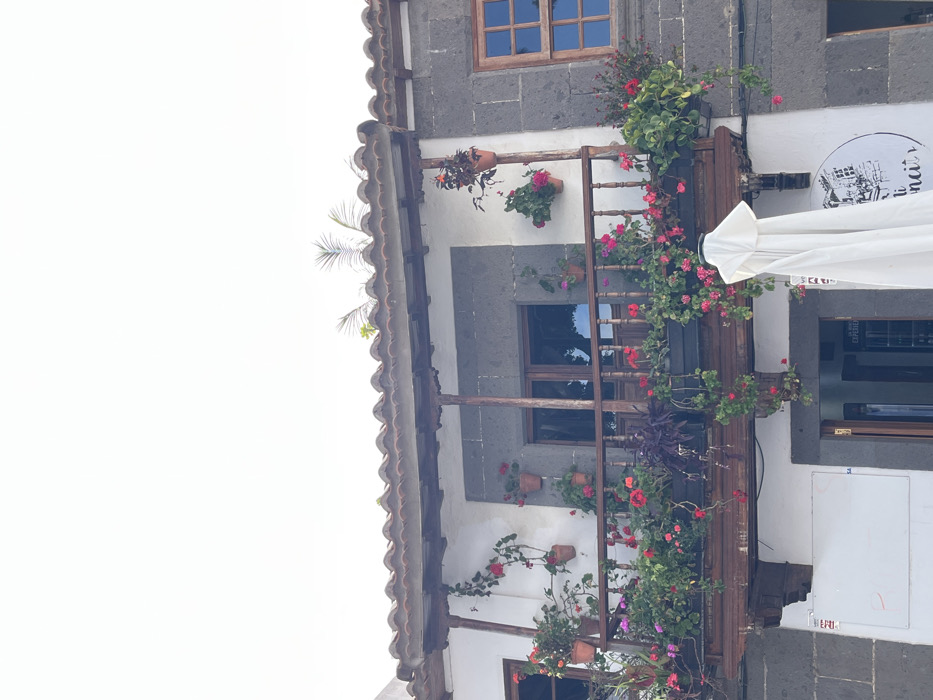The image shows a building with a balcony in Teror, Spain, located at latitude: 28.06, longitude: -15.547. The balcony is covered in plants and flowers, including red geraniums and green ivy. The building is painted white with a gray stone facade. There are windows on the second story, one with a wooden frame and blue glass and the other with dark wooden frames. An awning, made of white fabric, covers the entrance of a shop below the balcony. There are various potted plants hanging from the balcony and on the wall below. There is a sign on the wall below the balcony for a business. It appears to be a restaurant, although the name is illegible.