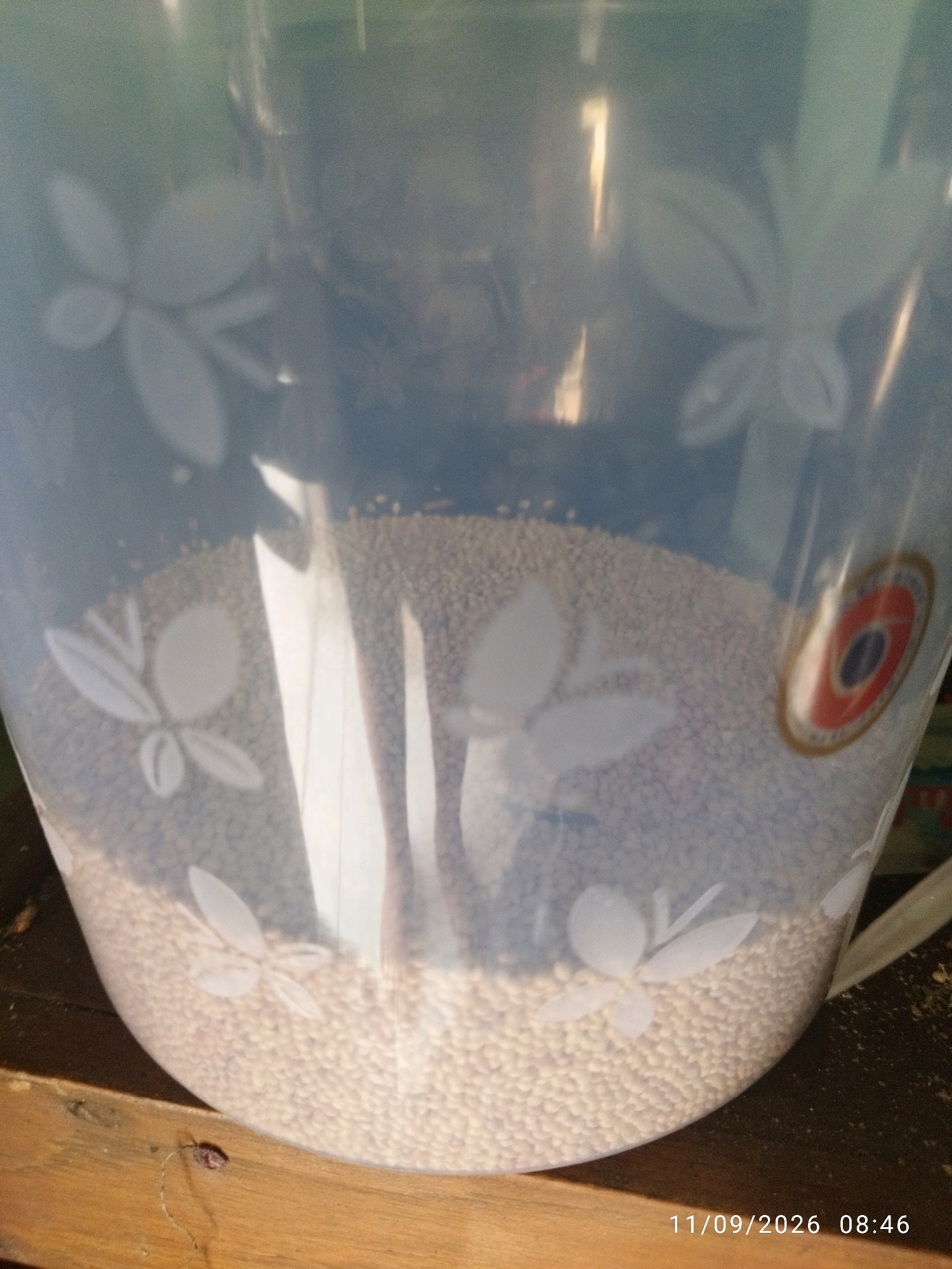 A transparent plastic jug filled with small, light-colored pellets is placed on a wooden surface. The jug has etched floral designs on its exterior. To the right of the jug, a circular label with red and blue concentric circles is visible. The background is blurred and indistinct. A timestamp in the lower right corner reads "11/09/2026 08:46".