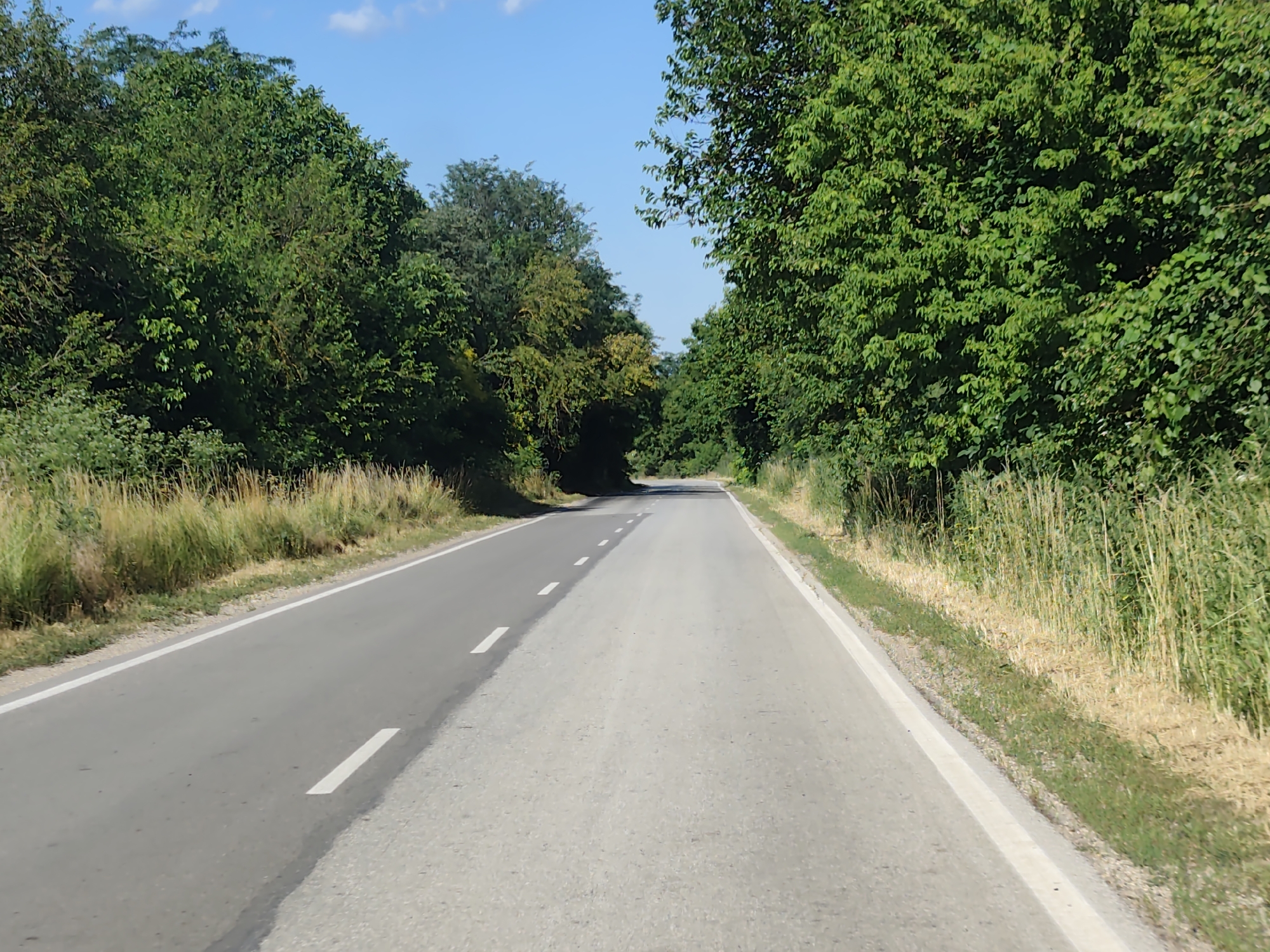 This is a ground-level, eye-level, forward-facing shot of a paved road in Strezherovo, Bulgaria. The road is bordered by lush green trees and dry grass. The sky is blue with a few white clouds. The road itself is a two-lane asphalt road with a white line dividing the lanes. The left lane is darker asphalt with white dashes, while the right lane is lighter, with a white line running along the edge. There are no people, vehicles, or animals visible in the image. The scene depicts a natural, rural environment.