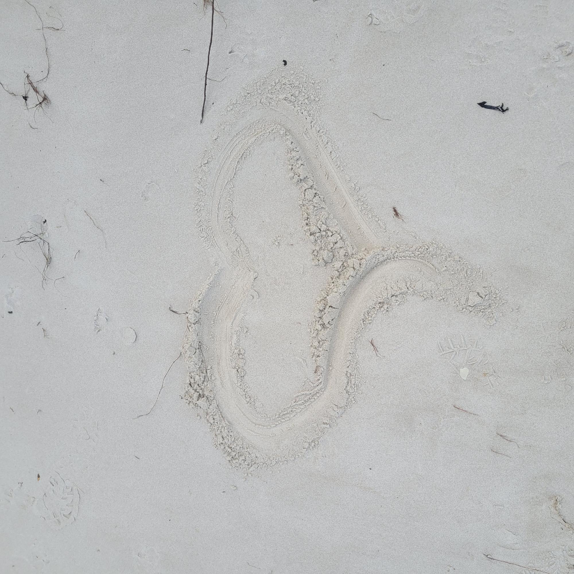 A heart drawn in the sand on a beach. The sand is a light, pale color, and there are a few scattered pieces of dried seaweed and debris. The heart is not perfectly formed, with slightly uneven lines and some disturbed sand around the edges, suggesting it was drawn recently. Footprints are also visible in the sand in various parts of the image. The scene is outdoors, under natural light.