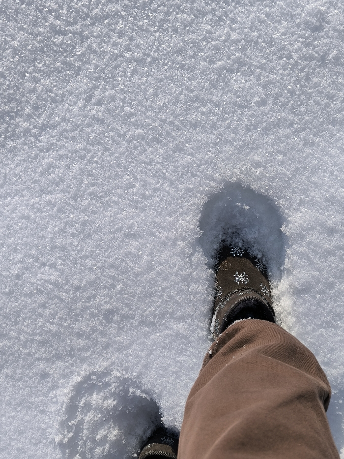 A downward-angle photograph, taken in Parkhomivka, Ukraine, depicts the lower legs and feet of an individual standing in a field of pristine, crystalline snow. The snow surface glistens, suggesting direct sunlight. The individual wears brown trousers and dark brown boots. The right boot is prominently featured, partially submerged in the snow, creating a clear depression. This boot is adorned with several small, silver-colored snowflake embellishments. The tip of a second boot is barely visible in the lower left corner. Shadows are cast by the boots onto the snow.