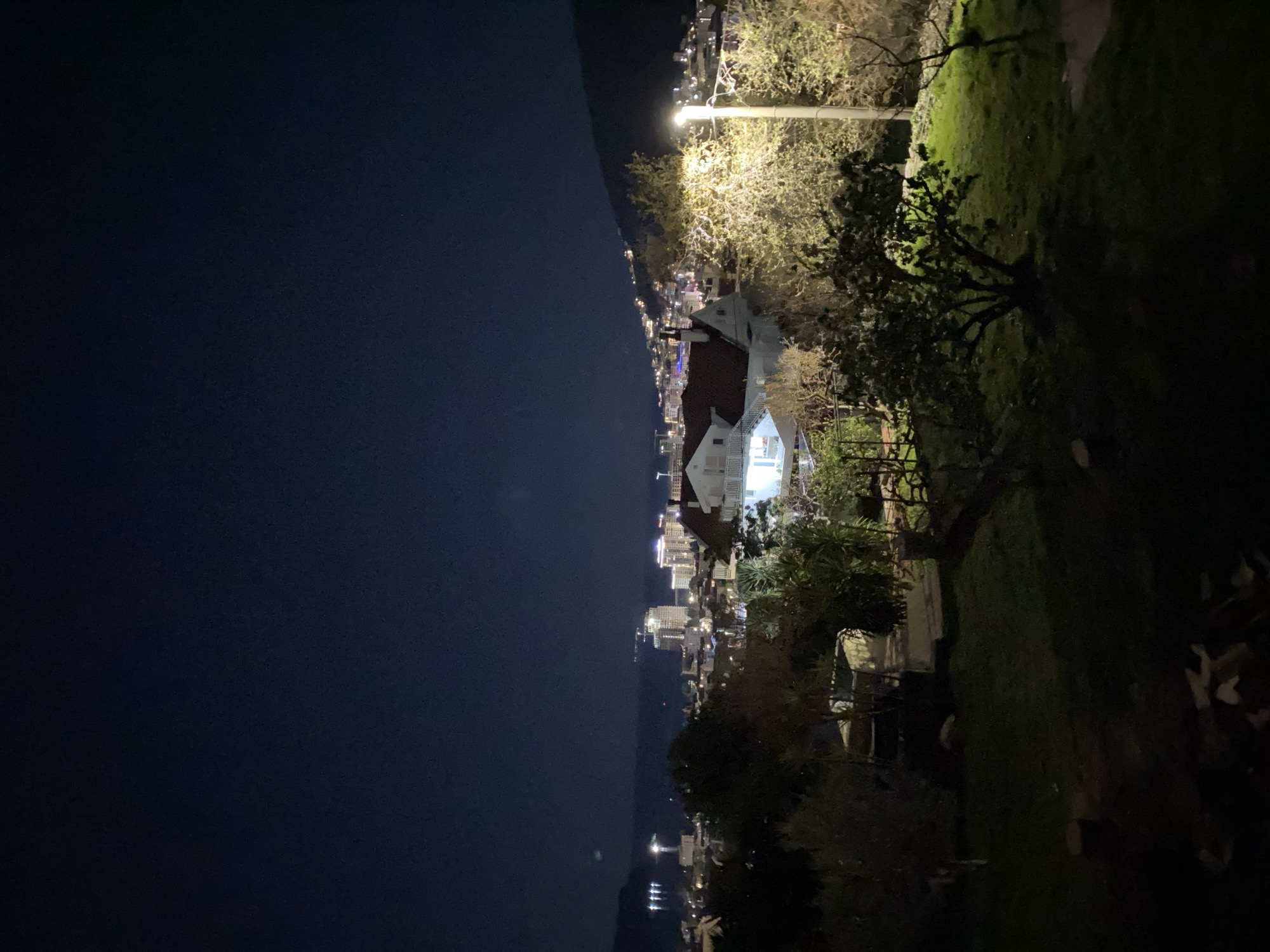 This nighttime scene overlooks the city of Budva, Montenegro, from an elevated position. The left side of the image features a dark sky or sea, contrasting with the lights of the city that run along the coastline. A white building with a visible porch is illuminated, standing out against the darker background of trees and foliage on the right. A street light is visible, its illumination spreading among the surrounding trees. The foreground includes trees and grass, typical of a natural landscape setting. The overall composition suggests a view from a garden or hillside.