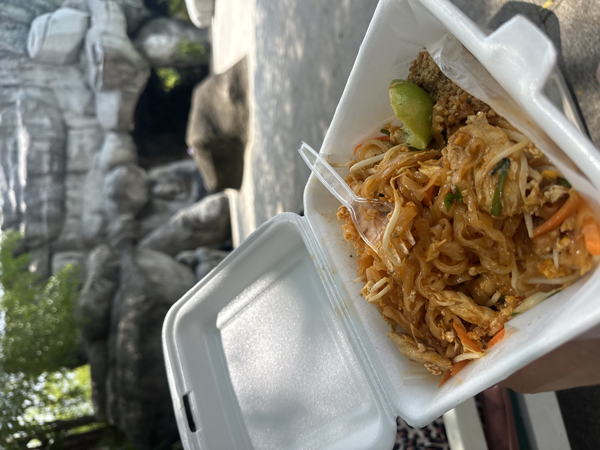 The image shows a serving of Pad Thai in a white styrofoam container. A plastic fork rests atop the noodles. The Pad Thai includes noodles, bean sprouts, carrot shreds, chicken, peanuts, and a lime wedge. The container is open, with one side of the lid folded back. The image is taken outdoors, with blurred rock formations and greenery in the background. The food is being held by a person whose hand is visible at the bottom right. Based on the food and the likely location, it could be Patong, Thailand.