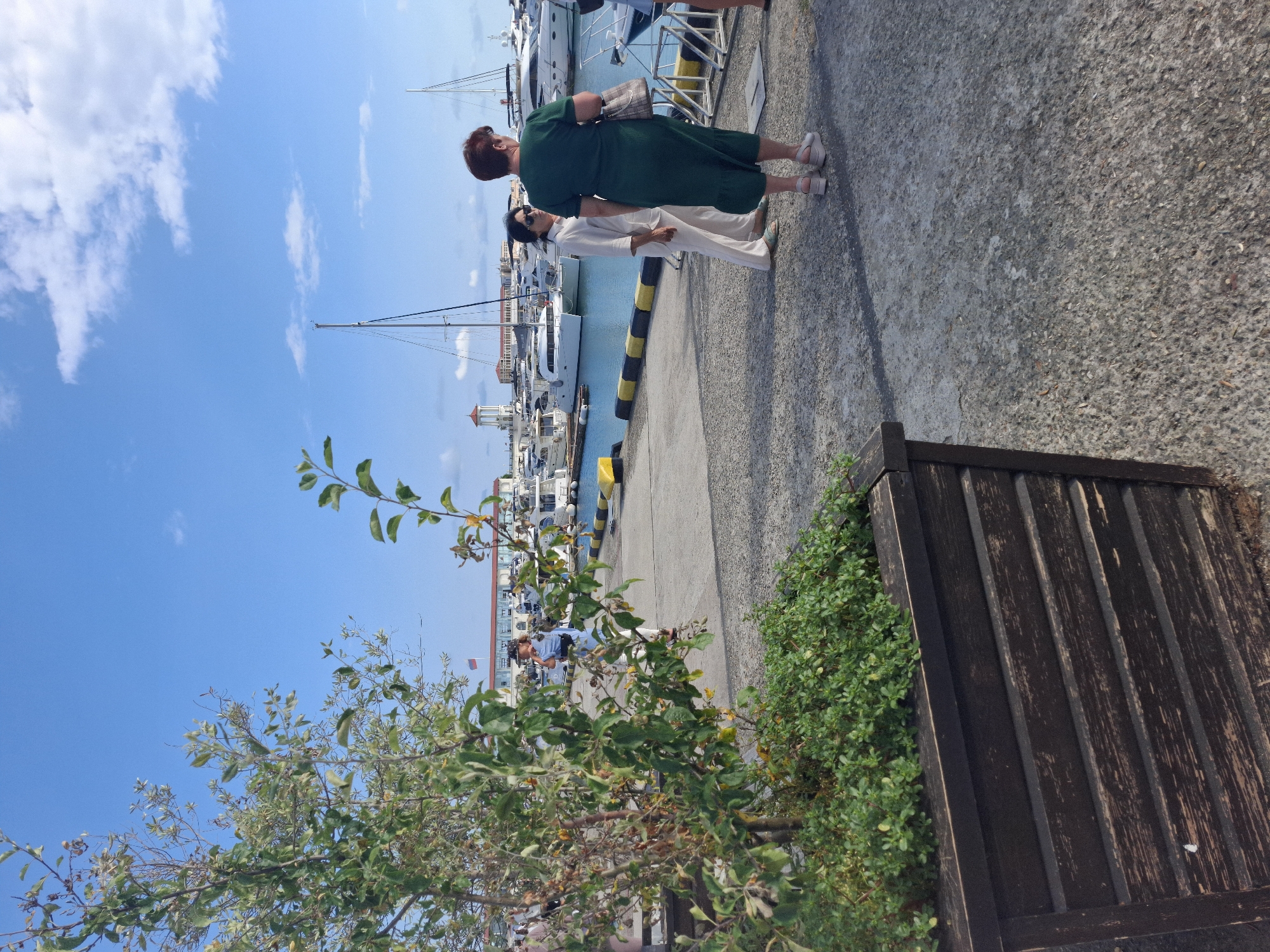 The image captures a bright, sunny day at a marina, likely in Sochi, Russia, given the context. Two women are the primary subjects, standing on a paved walkway next to a body of water where several sailboats and yachts are docked. The woman in the foreground wears a green dress and has her back to the camera, looking towards the water. Beside her, a woman in a light-colored outfit stands facing the other direction. The scene is well-lit, suggesting it is daytime, with a clear blue sky dotted with fluffy white clouds. Lush green foliage, including a tree with leaves and branches in the foreground and a dense bush to the right, adds a natural element to the man-made setting of the marina. A wooden bench or planter box is visible in the lower right corner. In the background, buildings and masts of boats are visible, hinting at a bustling port. The overall atmosphere appears relaxed and pleasant. No visible text is present in the image.