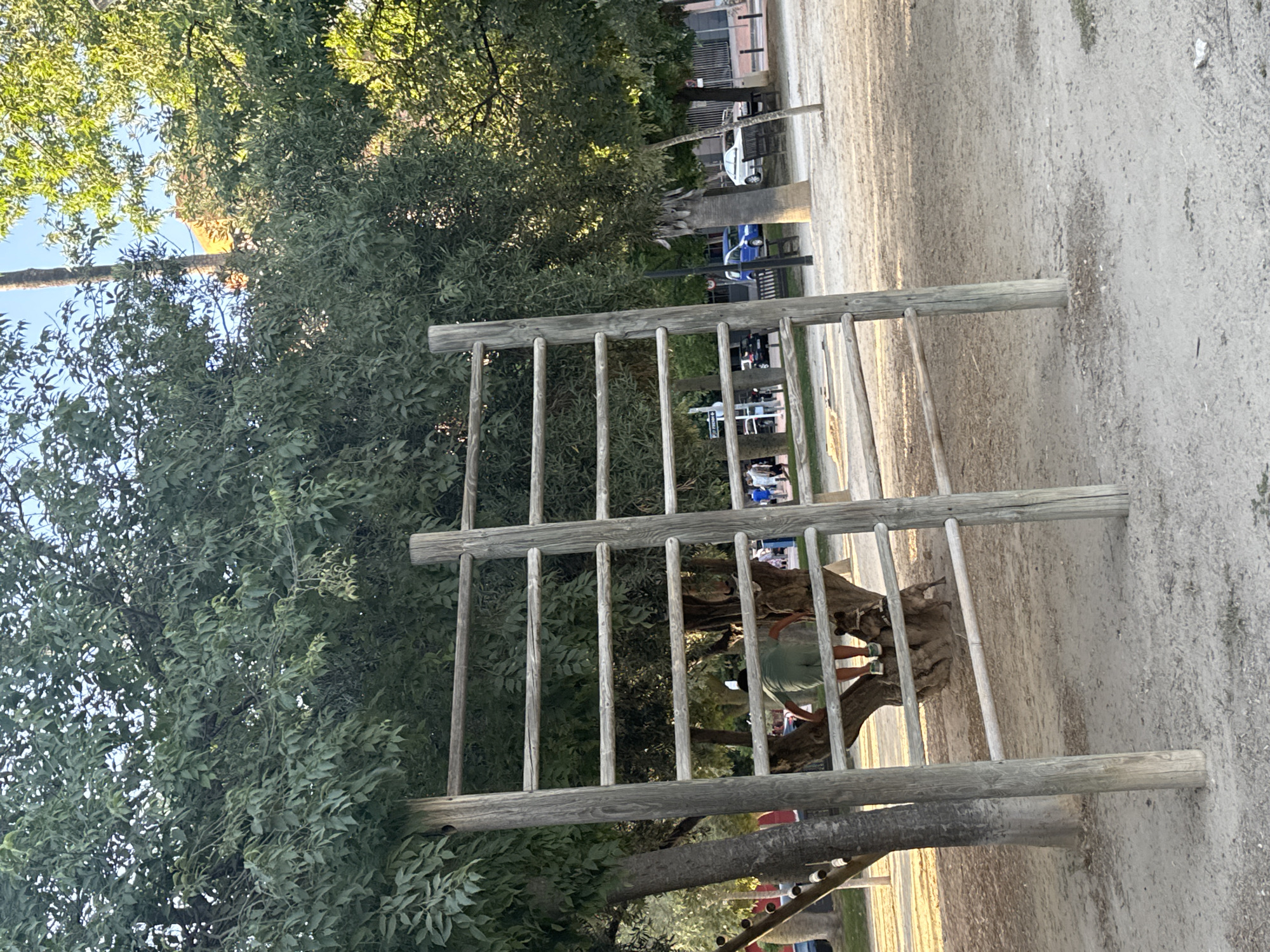 A wooden ladder structure stands in a sandy outdoor area with trees in the background. A person is partially visible behind the ladder, appearing to interact with an animal, possibly a camel, given the animal's shape and the presence of a handler. The animal is brown and appears to be standing or walking. The person is wearing a green shirt and light-colored shorts. The ladder is made of thick wooden poles and rungs, suggesting it might be part of an adventure course or playground.
In the background, more trees are visible, with lush green foliage. Beyond the trees, there are hints of buildings and vehicles, including a white car and a blue vehicle, suggesting a populated area or a facility. The ground is covered in sand or fine gravel, typical of an outdoor recreational space. The lighting suggests it is daytime, likely late afternoon or early evening, given the warm tones and shadows. The weather appears to be pleasant and clear.
The overall scene evokes a sense of outdoor activity and possibly an attraction or park. The location context provided, Murcia, Spain, could suggest a climate suitable for such outdoor activities year-round. There is no visible text in the image.