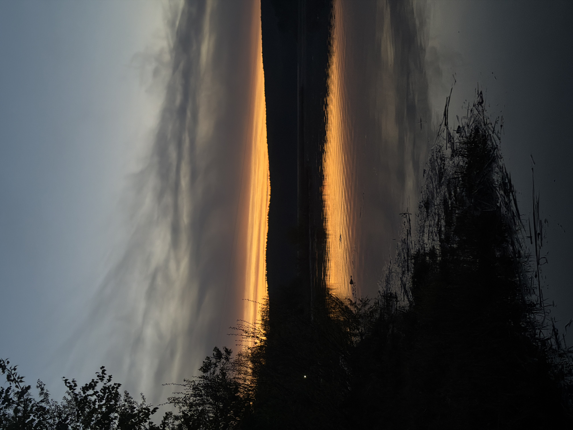 The image depicts a sunset reflected in a body of water, possibly the Kama River, in Chaikovsky, Russia. The sky exhibits a gradient from blue-gray to orange-yellow, with scattered clouds. Silhouetted trees and vegetation are visible in the foreground. The water surface reflects the sunset colors, creating a mirrored effect. Some areas of the water surface are disturbed, causing distorted reflections.