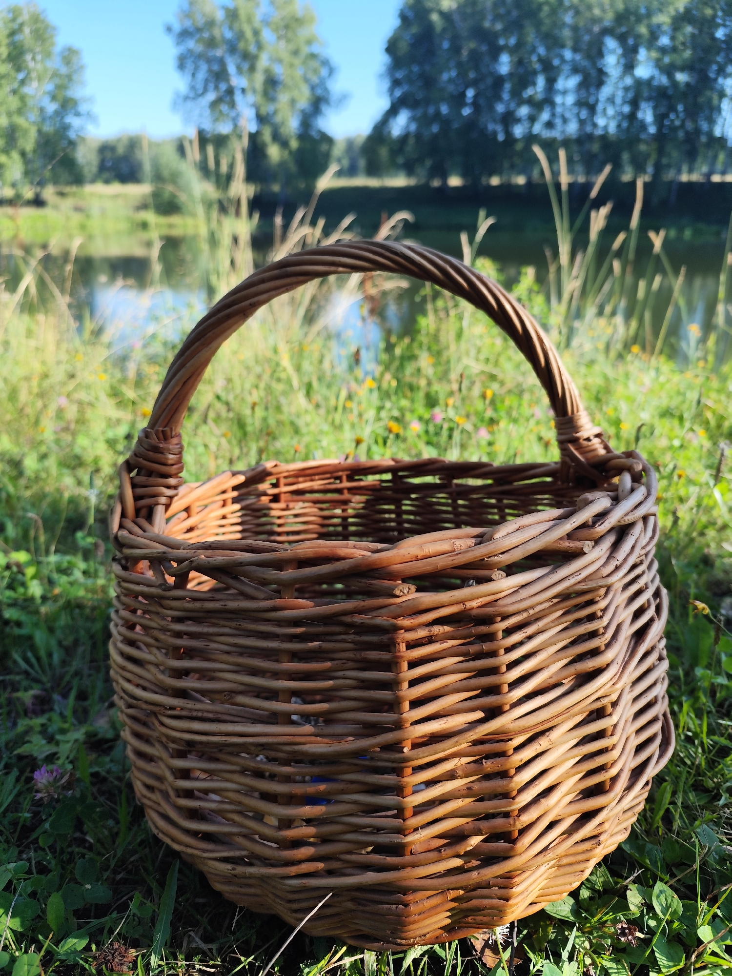 A woven wicker basket sits on lush green grass. The basket has a rounded body and a curved handle. In the background, a body of water is visible, reflecting the blue sky and the surrounding trees. The trees are tall and leafy, creating a dense green backdrop. The overall scene suggests an outdoor setting, possibly a park or countryside. The location is specified as Barlaksky, Russia. There are no people or animals present in the image.