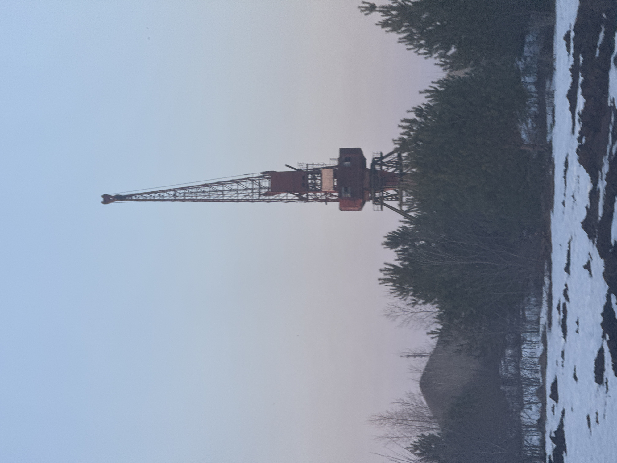 The image depicts a large, red-painted crane against a pale sky. Vegetation, including trees and brush, partially obscures the base of the crane. A patch of snow-covered ground is visible in the foreground. Based on the crane's distinctive appearance and the limited surrounding environment, it is likely the crane located in the city of Chaikovsky, Russia. The overall scene appears static, with no discernible human activity or interaction observed.
