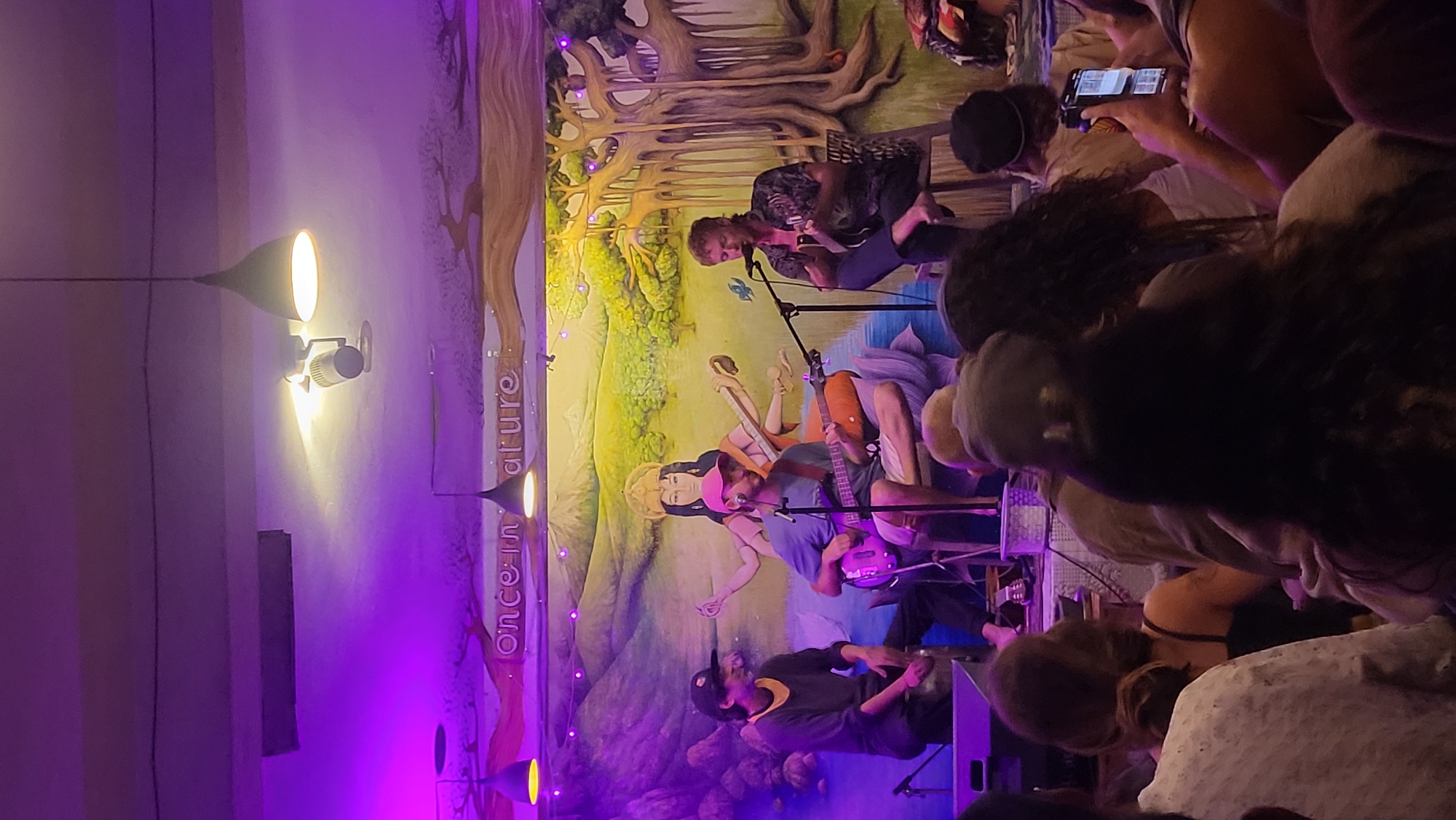 The scene depicts a live musical performance indoors, likely in a venue with a mural backdrop themed around nature. Four musicians are visible on a makeshift stage. One is seated and singing into a microphone while playing an instrument. Two are seated, playing stringed instruments. Another is standing near electronic equipment. The audience is dense and crowded. Some individuals are using phones. The backdrop of the stage is a colorful mural. The venue has cone-shaped lights on the ceiling. The text "once in nature" can be made out on the mural. There are no indications of this image being taken in Haini, India.