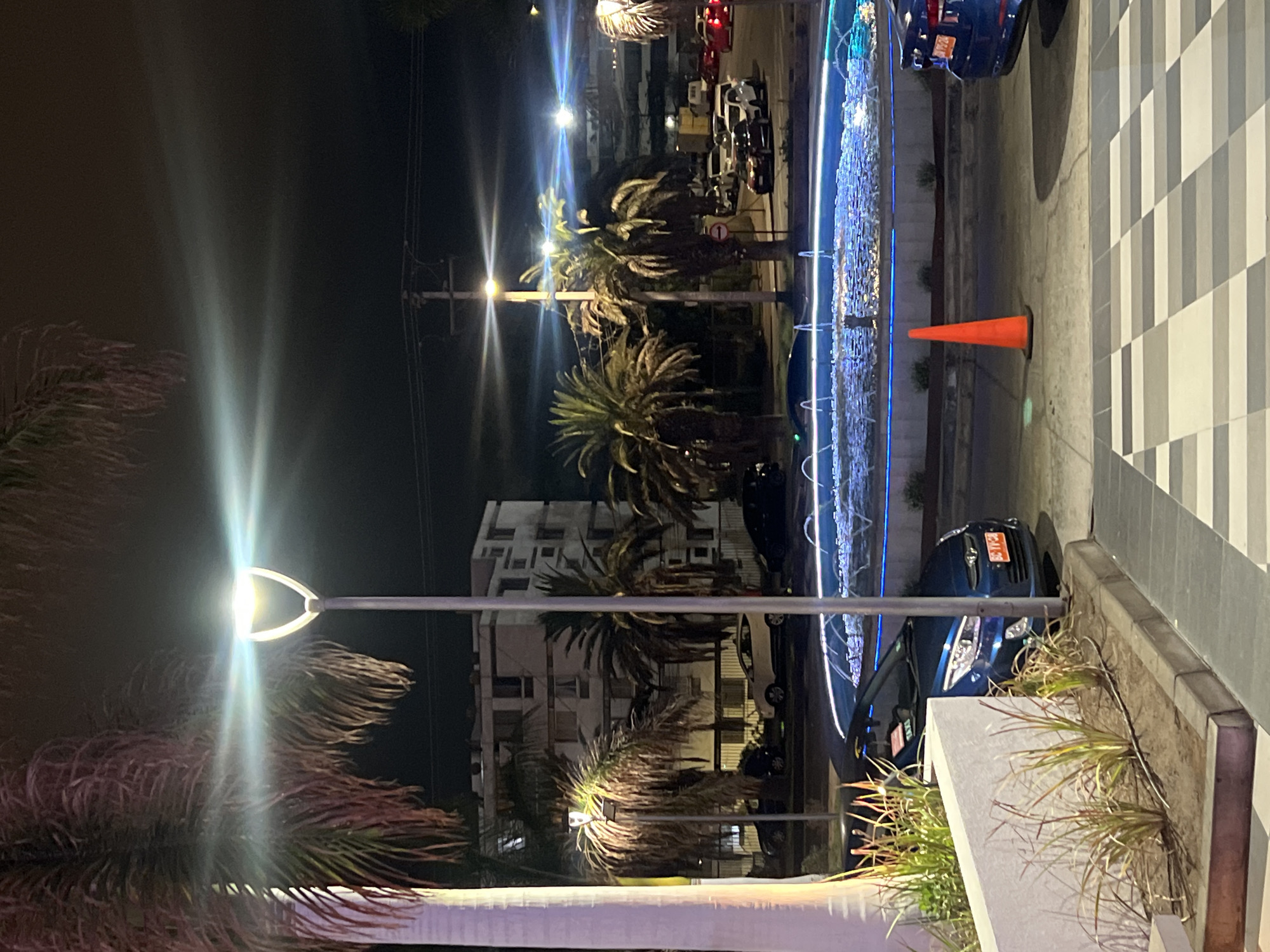 This image shows a nighttime street scene in Arica, Chile. A row of palm trees lines a road, lit by streetlights. A building with several windows is visible in the background. There are several cars parked on the side of the road, and a blue decorative light feature is prominent. An orange traffic cone sits on the road near a section of gray and white patterned pavement. The camera angle is unusual, seemingly tilted. Plant life grows in a section of pavement close to the camera.