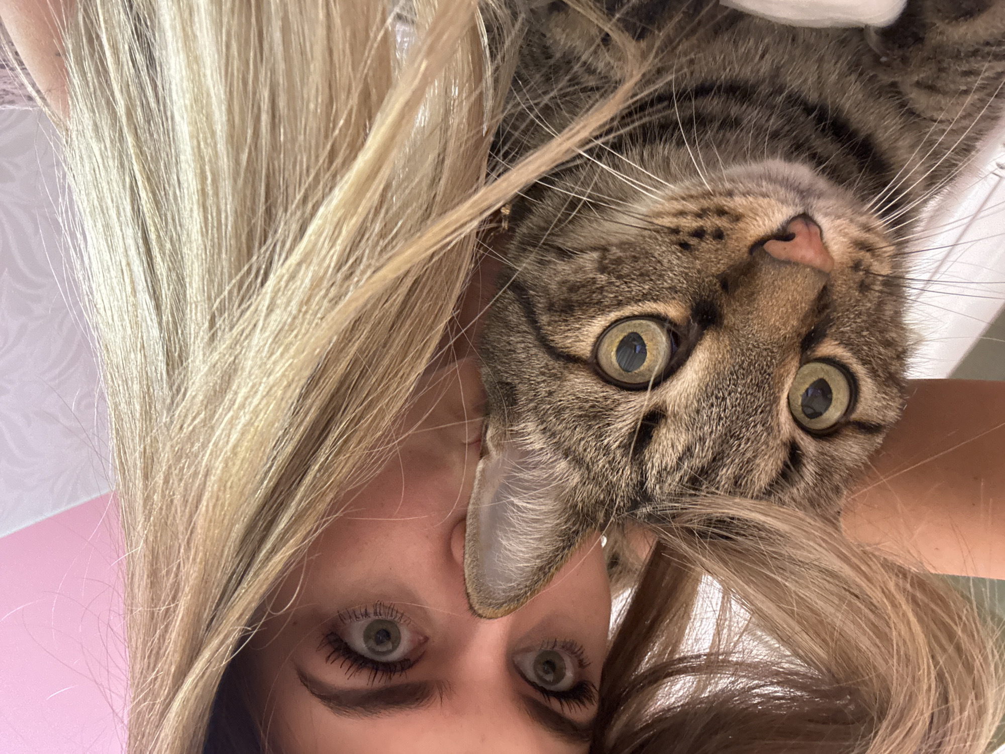 The scene depicts a close-up, eye-level indoor portrait of a female individual and a domestic tabby cat in Chaikovsky, Russia. The cat, exhibiting brown, black, and tan striped fur, occupies the left and central foreground, with its left ear positioned directly in front of the female's nose, partially obscuring her face. The cat's large, round eyes, with green-yellow irises and dark pupils, are wide open and directed towards the viewer. Its pink nose and prominent white whiskers are clearly visible. Behind the cat, the upper portion of a female's face is visible. She has light skin, wide-open eyes with green irises, dark pupils, and visible mascara on her eyelashes. Her dark eyebrows are arched. Long, light blonde hair frames her face, flowing across the top of the cat's head and down the right side of the image. The interaction suggests a selfie-style photograph. The background consists of a solid pink surface on the upper right and a white or very light-colored, possibly patterned, surface elsewhere, indicating an indoor environment.