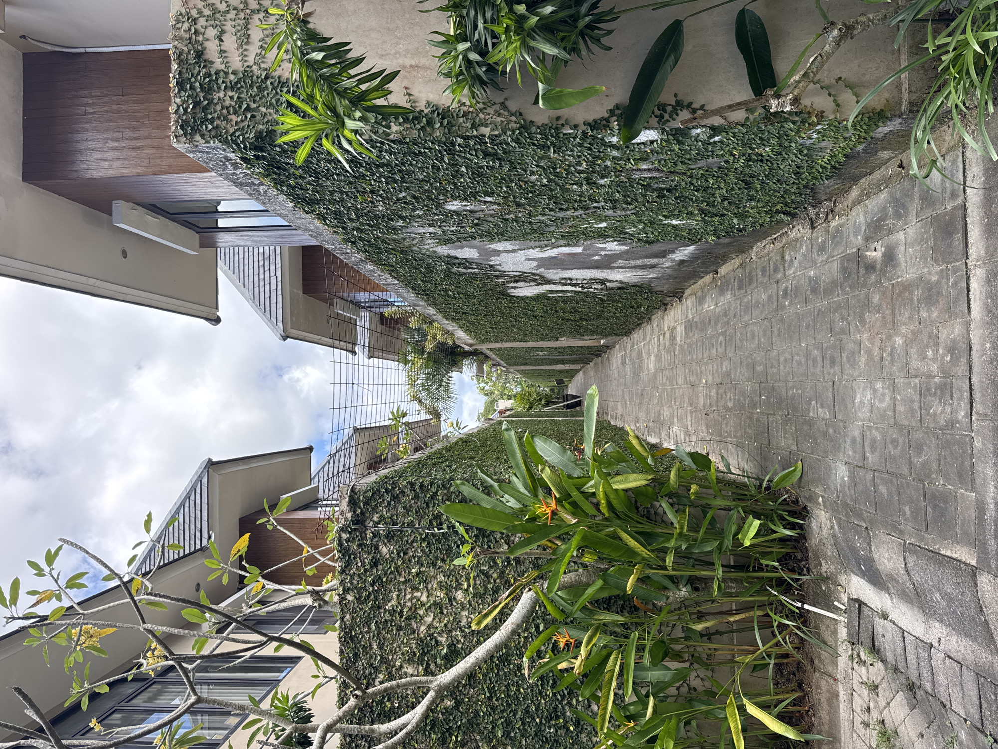 The image depicts a narrow alleyway between buildings in Kuta Selatan, Indonesia. The walls of the buildings are covered in ivy and various plants, with some plants also growing along the edges of the stone-paved pathway. The buildings have modern architectural features, including wood paneling and balconies. The sky is visible between the buildings, showing scattered clouds.