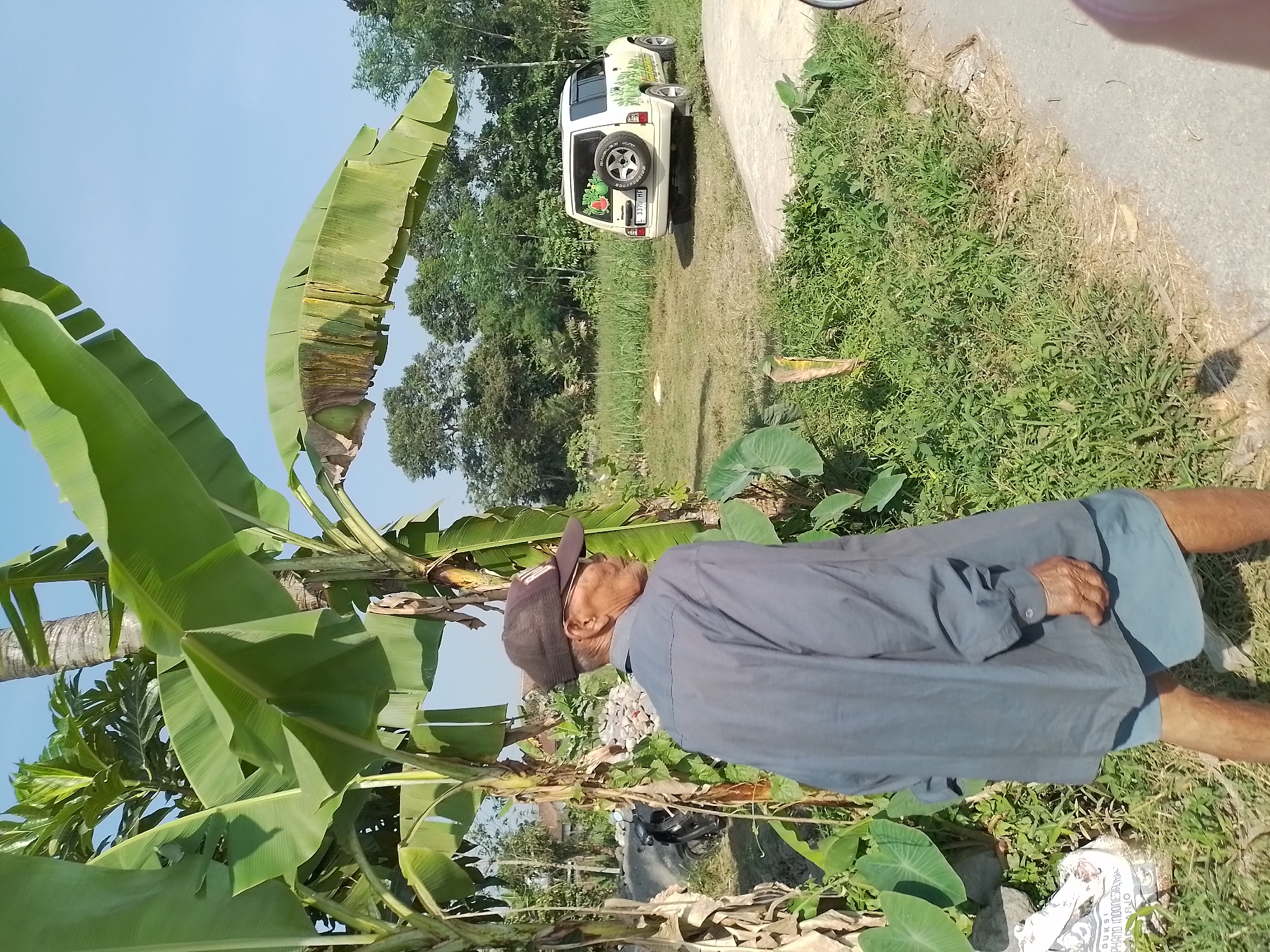 An elderly man wearing a gray long-sleeved shirt, a brown baseball cap, and blue shorts walks on a dirt path lined with green vegetation and banana trees. Behind him, a white SUV with a spare tire mounted on the back is parked in a grassy field. The background shows a cluster of trees and buildings under a clear blue sky. The scene appears to be in a rural area, possibly in Ngancar, Indonesia, given the presence of banana trees and the style of the vehicle and buildings.