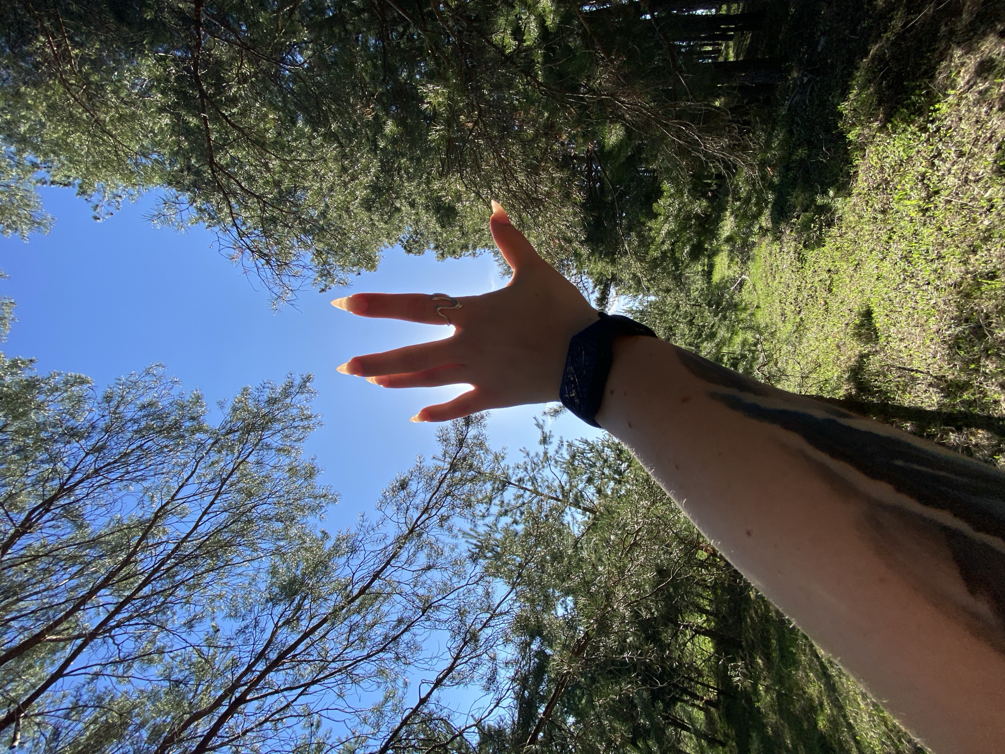The image shows a person's arm, hand, and ring extending towards the sky framed by tree branches and leaves. The sky is bright blue. The person is wearing a dark wristband and has a tattoo on their arm. The location appears to be a wooded area with dense foliage. It is not possible to determine if the location is in the city of Фоки, Russia, from the image alone.