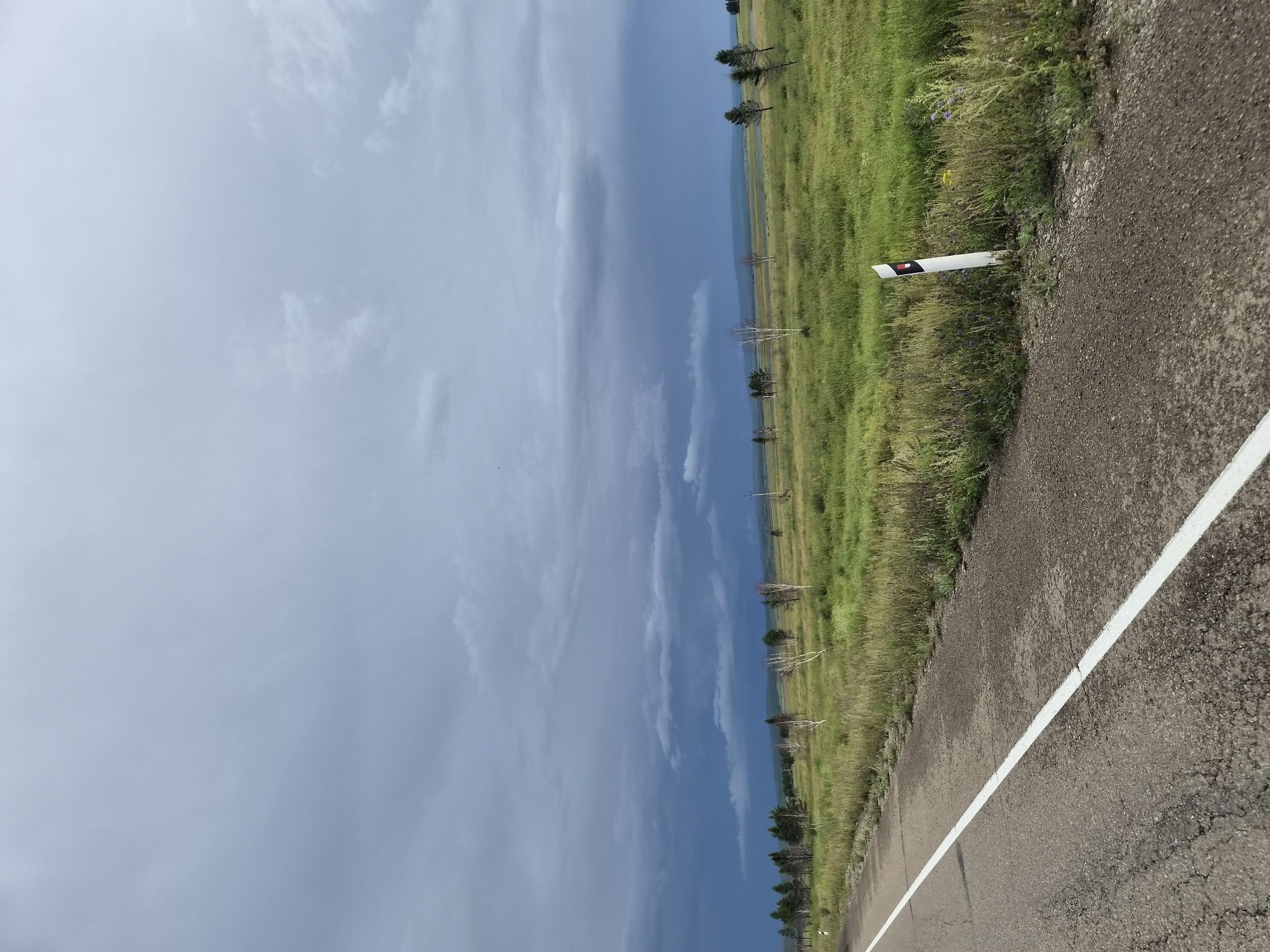 A paved road with a white line marking runs along the left side of the frame, bordering a grassy field. Scattered trees, some leafless and white-barked, are visible in the distance across the field. The sky is overcast with dark, heavy clouds, suggesting impending rain, and a sliver of blue sky is visible on the horizon. A white road marker with red and black markings stands in the grass near the road. The landscape is flat and appears rural, possibly on the outskirts of Mukhor-Konduy, Russia. There are no people or animals visible in the image.